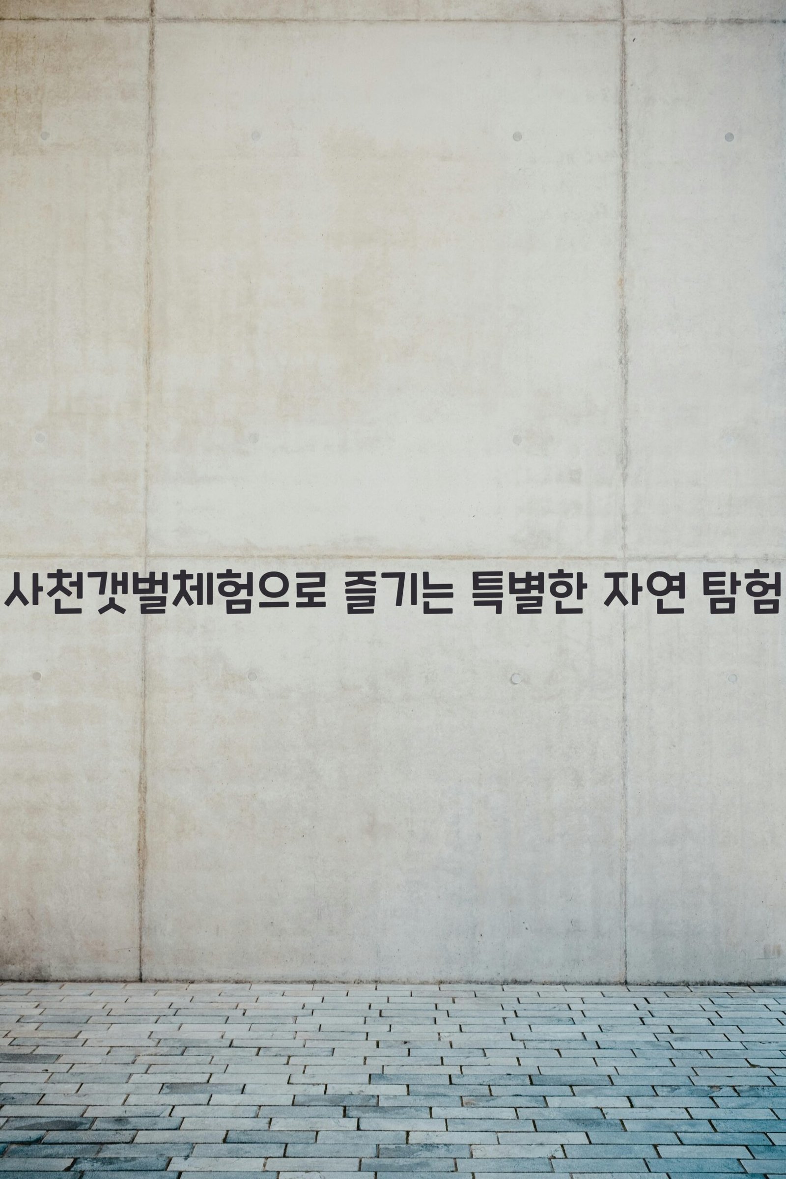 사천갯벌체험 scaled