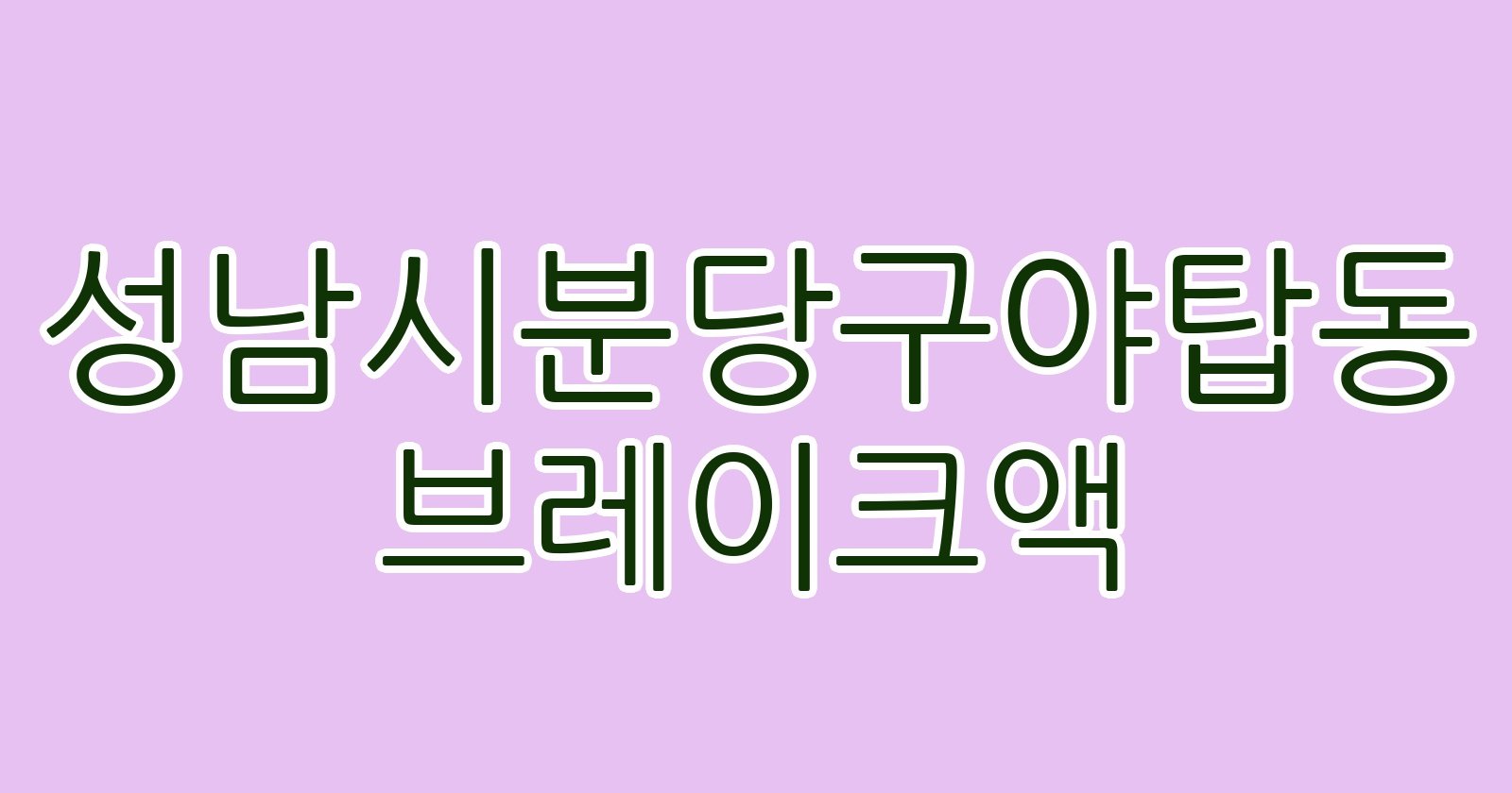 성남시분당구야탑동 브레이크액