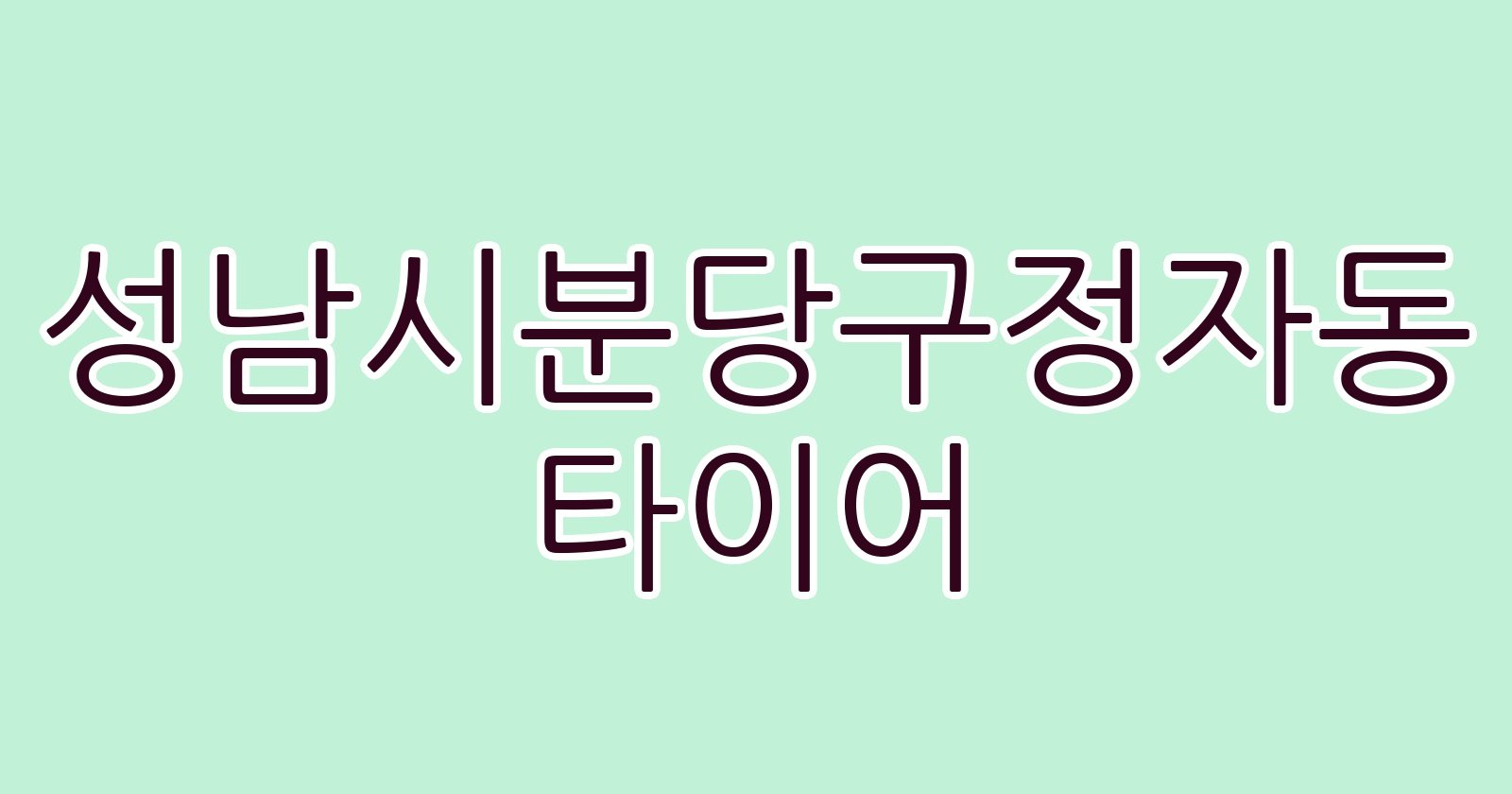 성남시분당구정자동 타이어