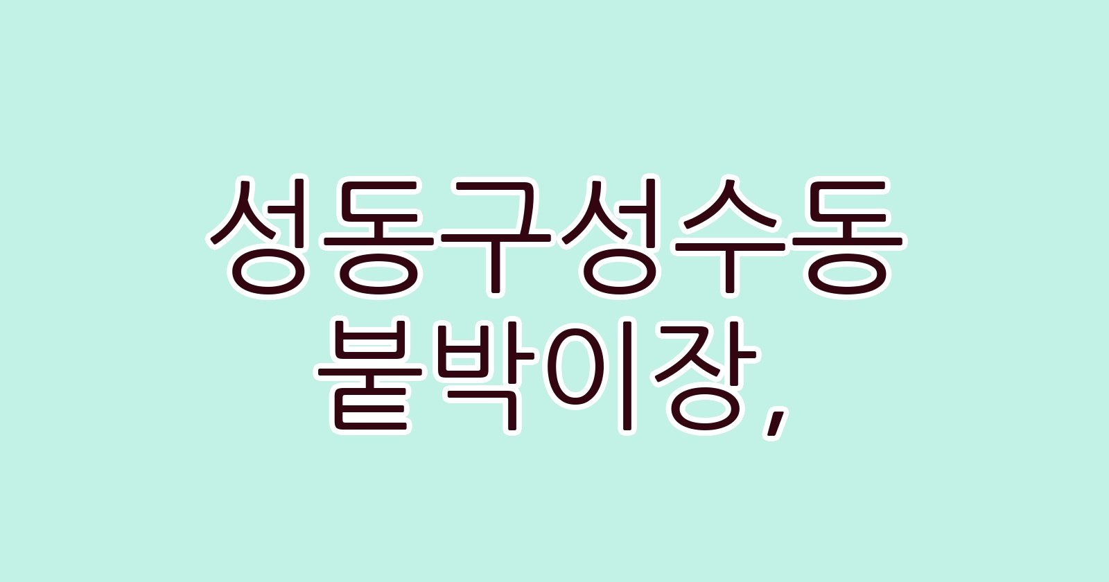 성동구성수동 붙박이장