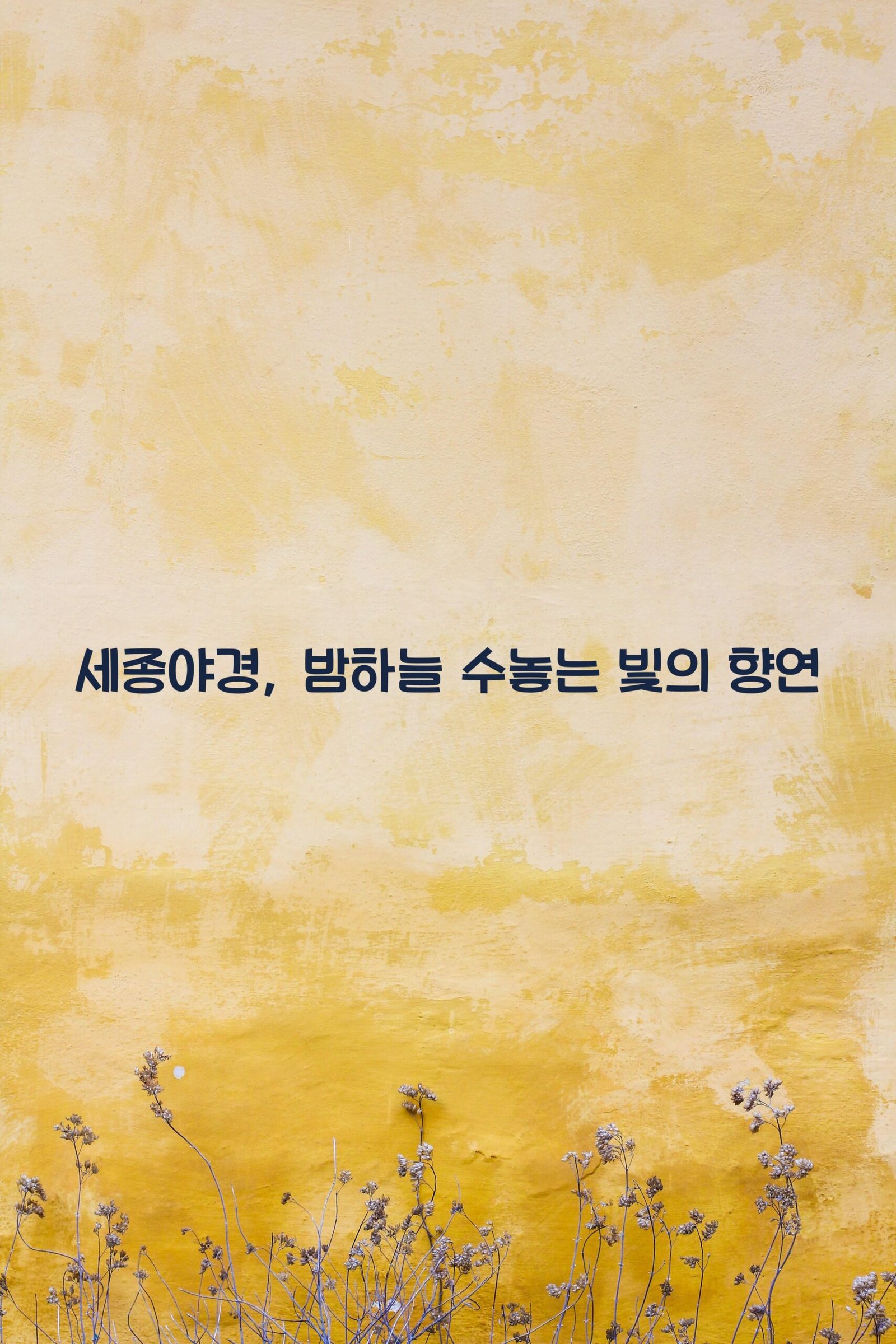 세종야경 scaled