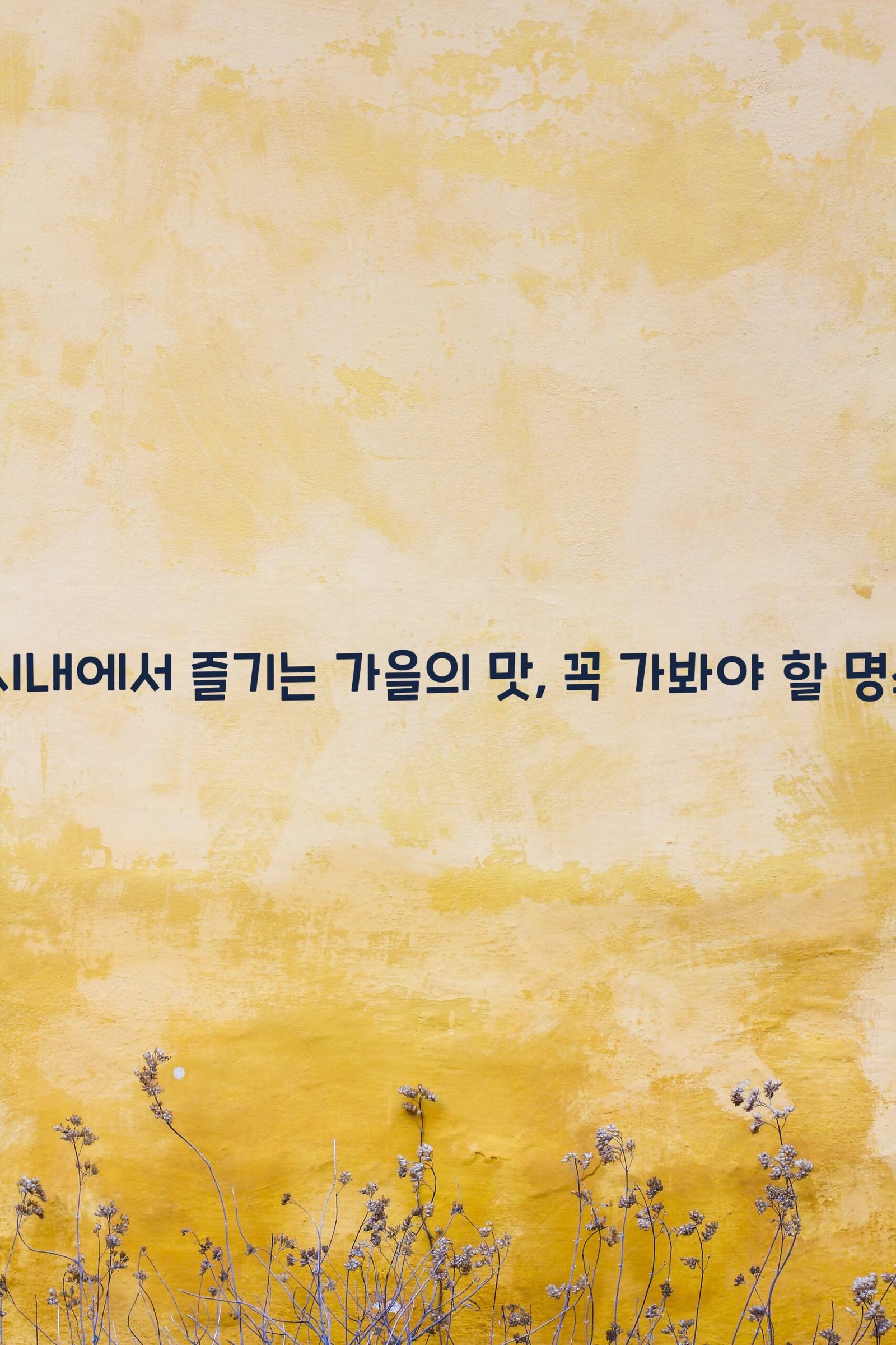 속초시내 scaled