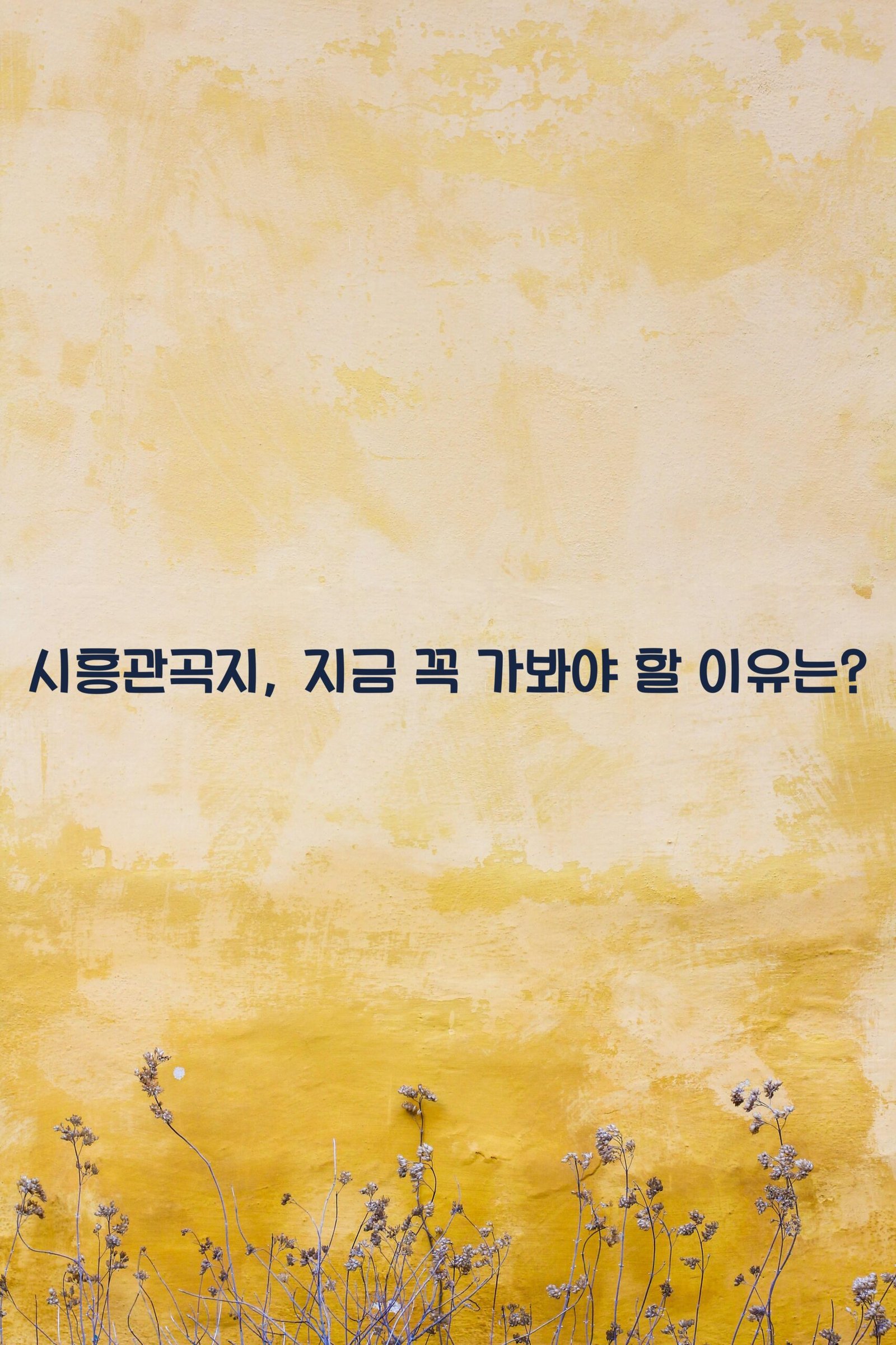 시흥관곡지 scaled