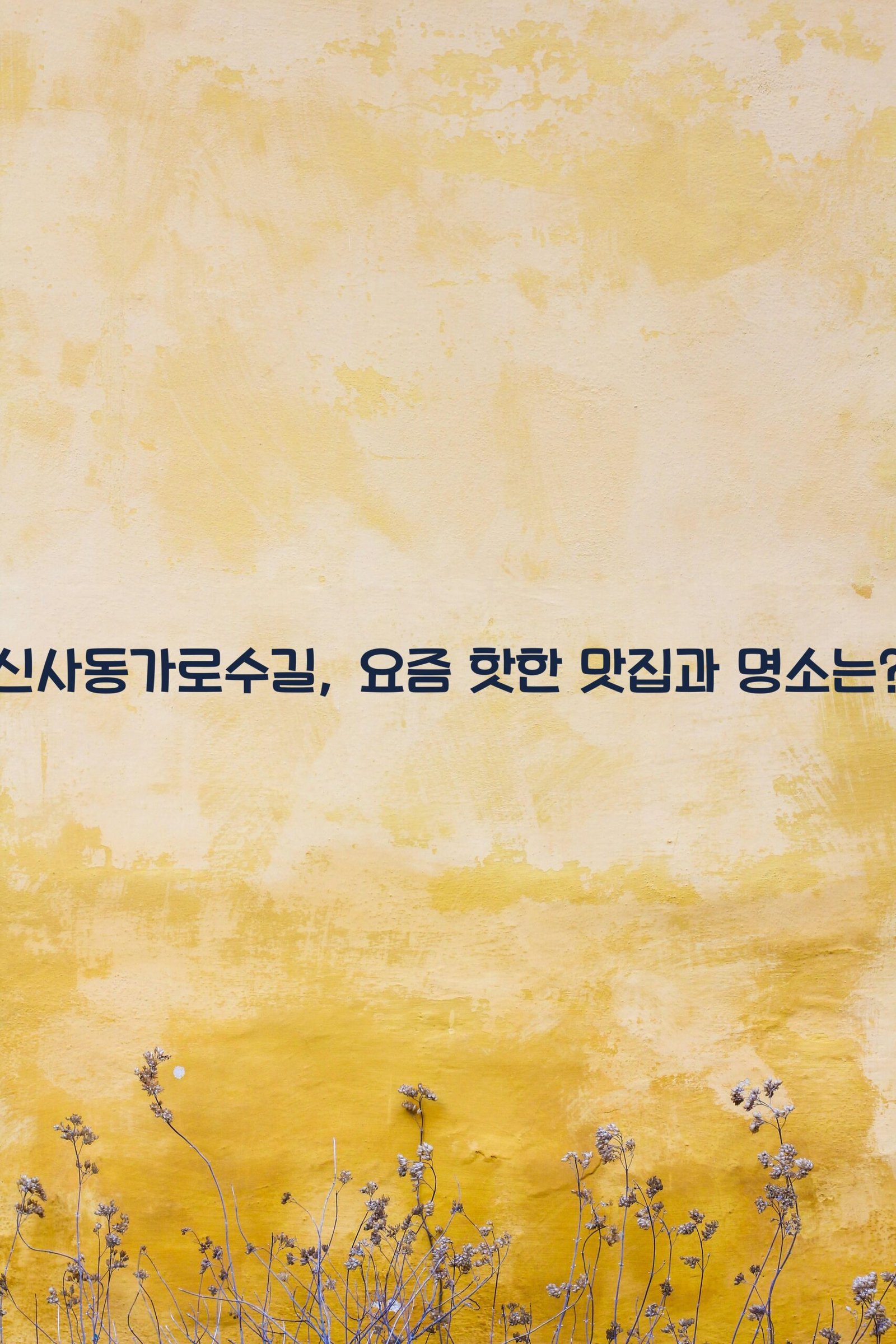신사동가로수길 scaled