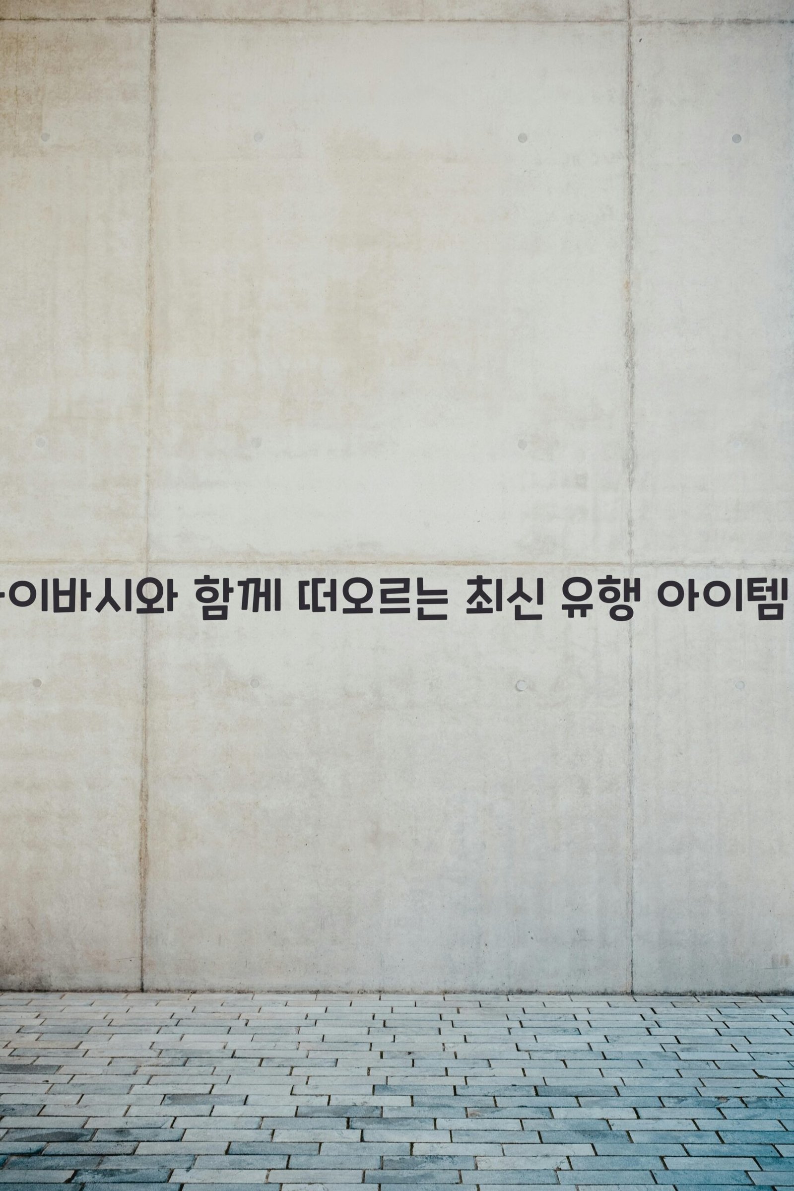 신사이바시 scaled