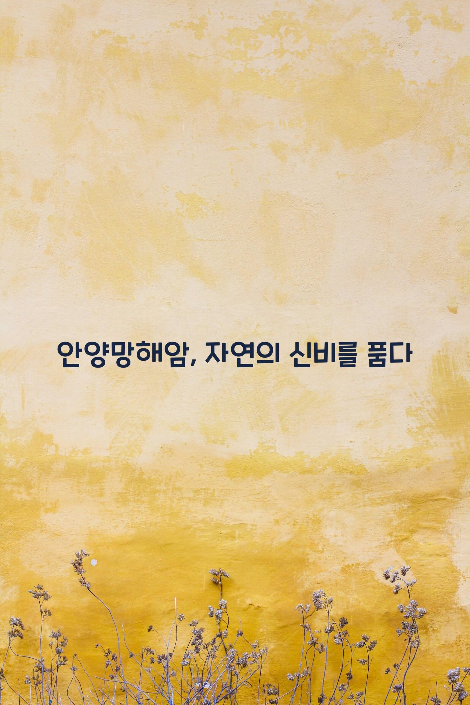 안양망해암 scaled