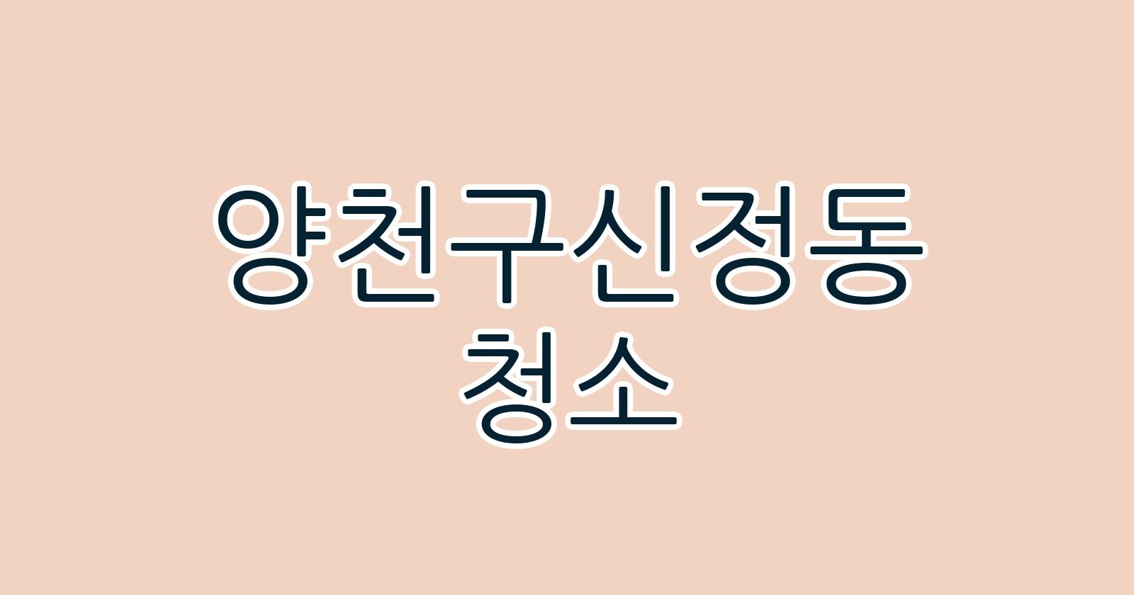 양천구신정동 청소
