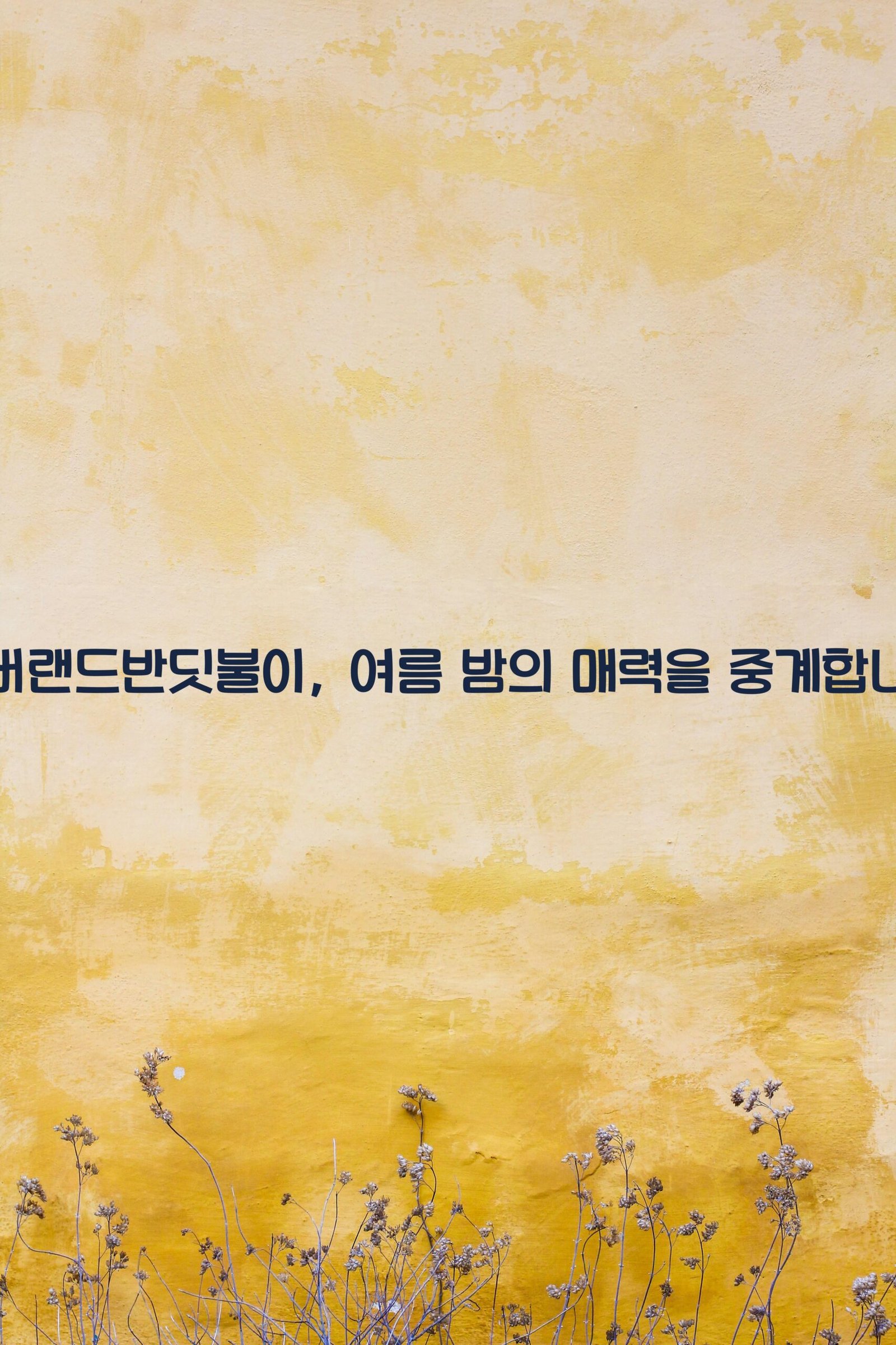 에버랜드반딧불이 scaled