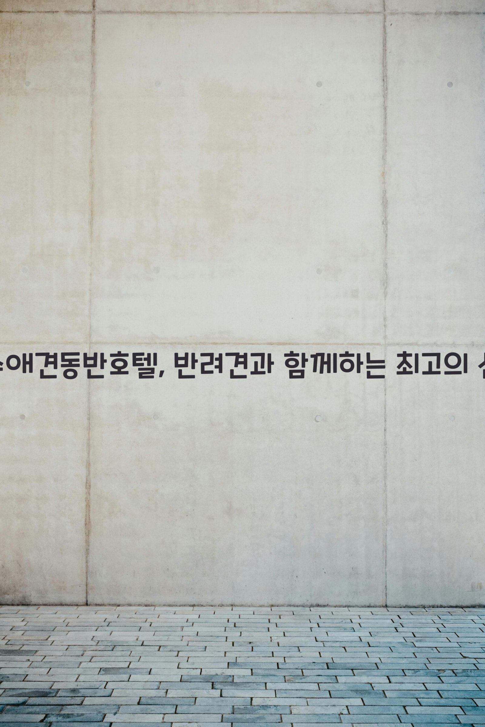 여수애견동반호텔 scaled