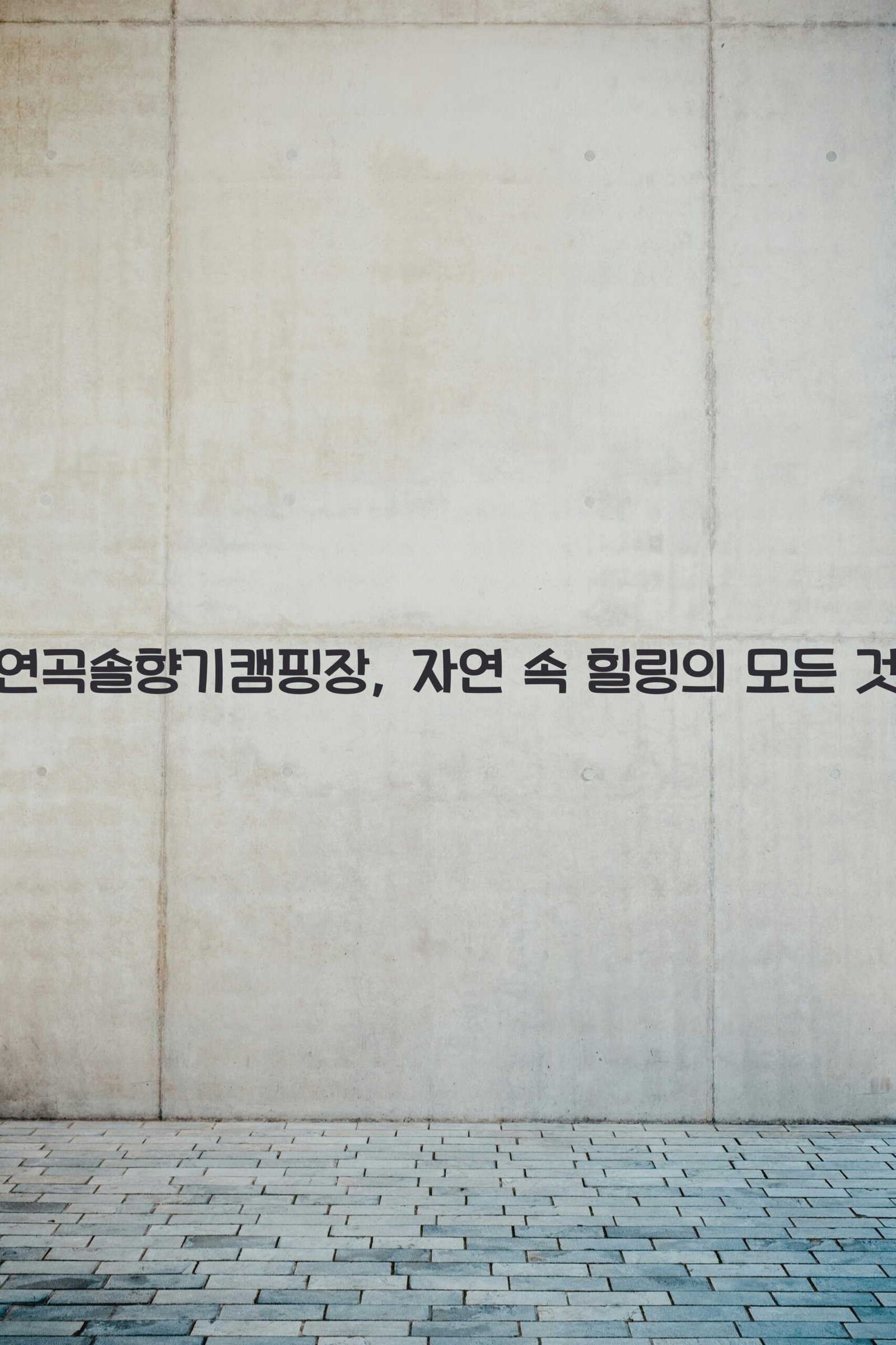 연곡솔향기캠핑장 scaled