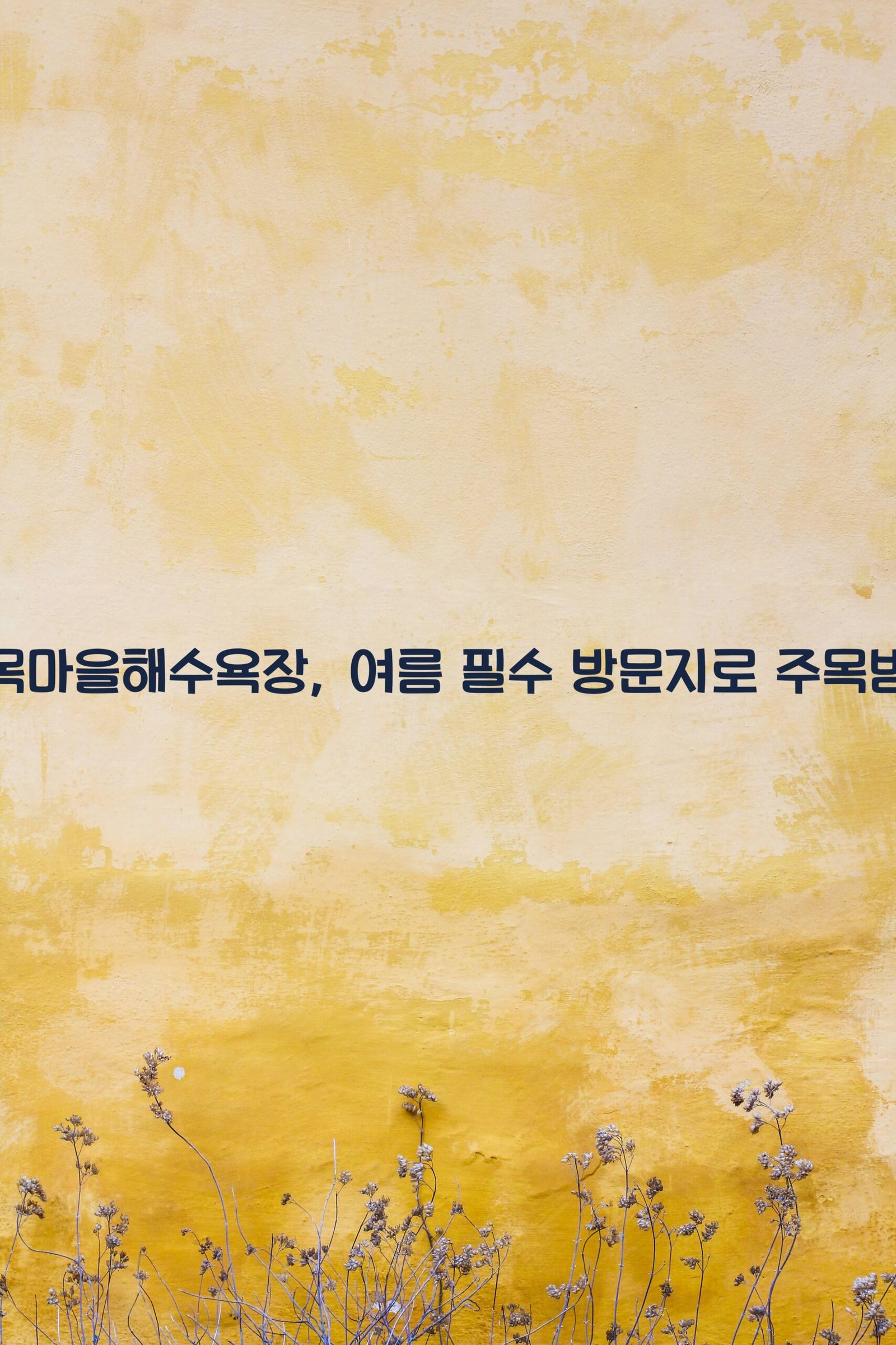 왜목마을해수욕장 scaled