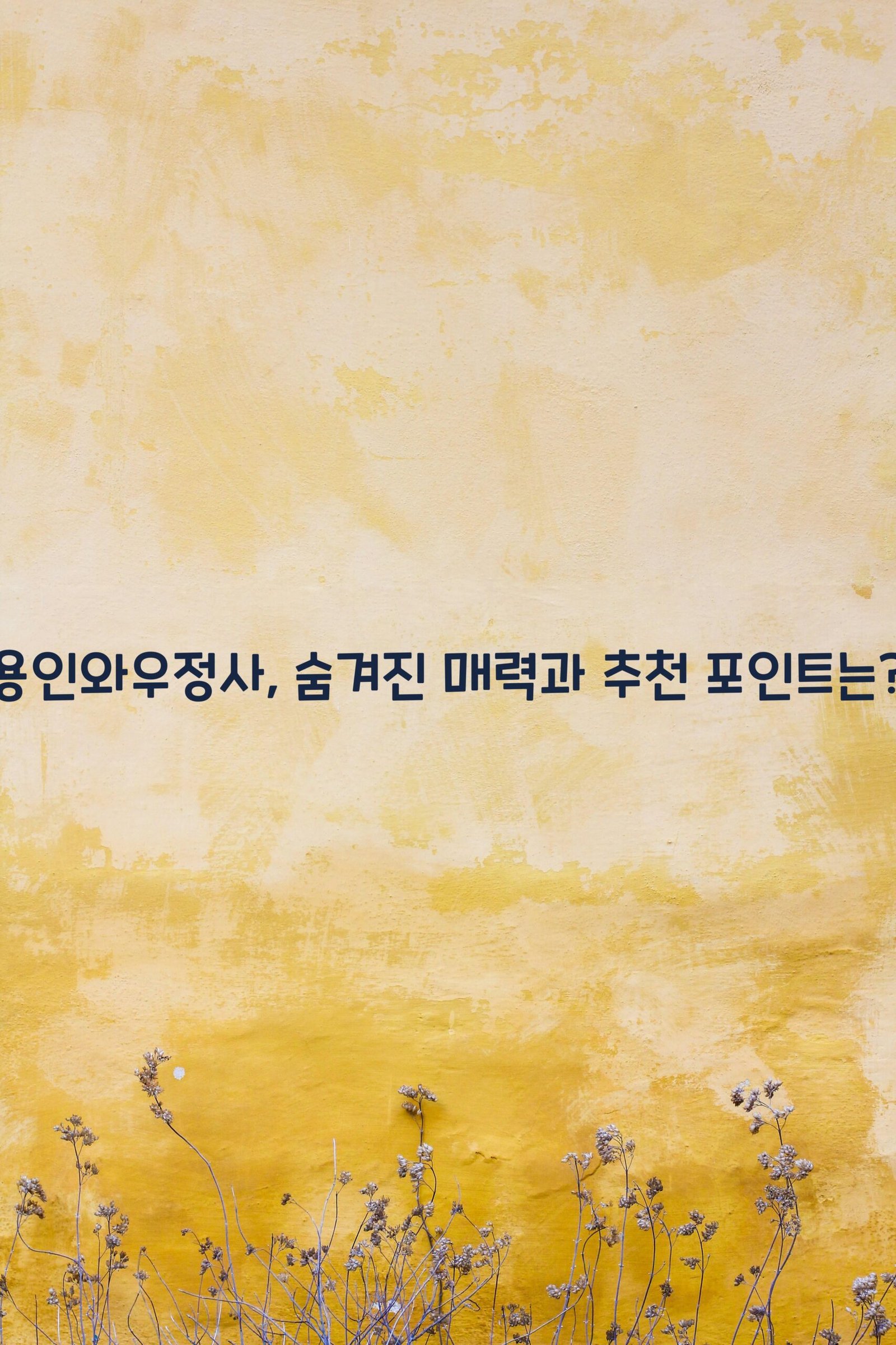 용인와우정사 scaled