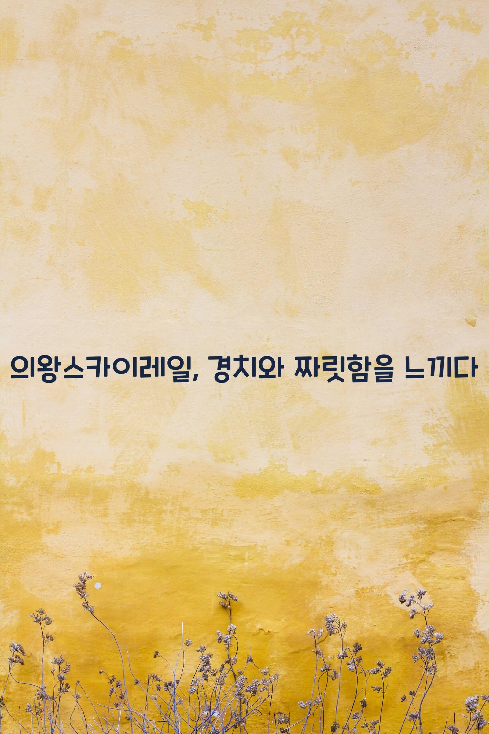 의왕스카이레일 scaled