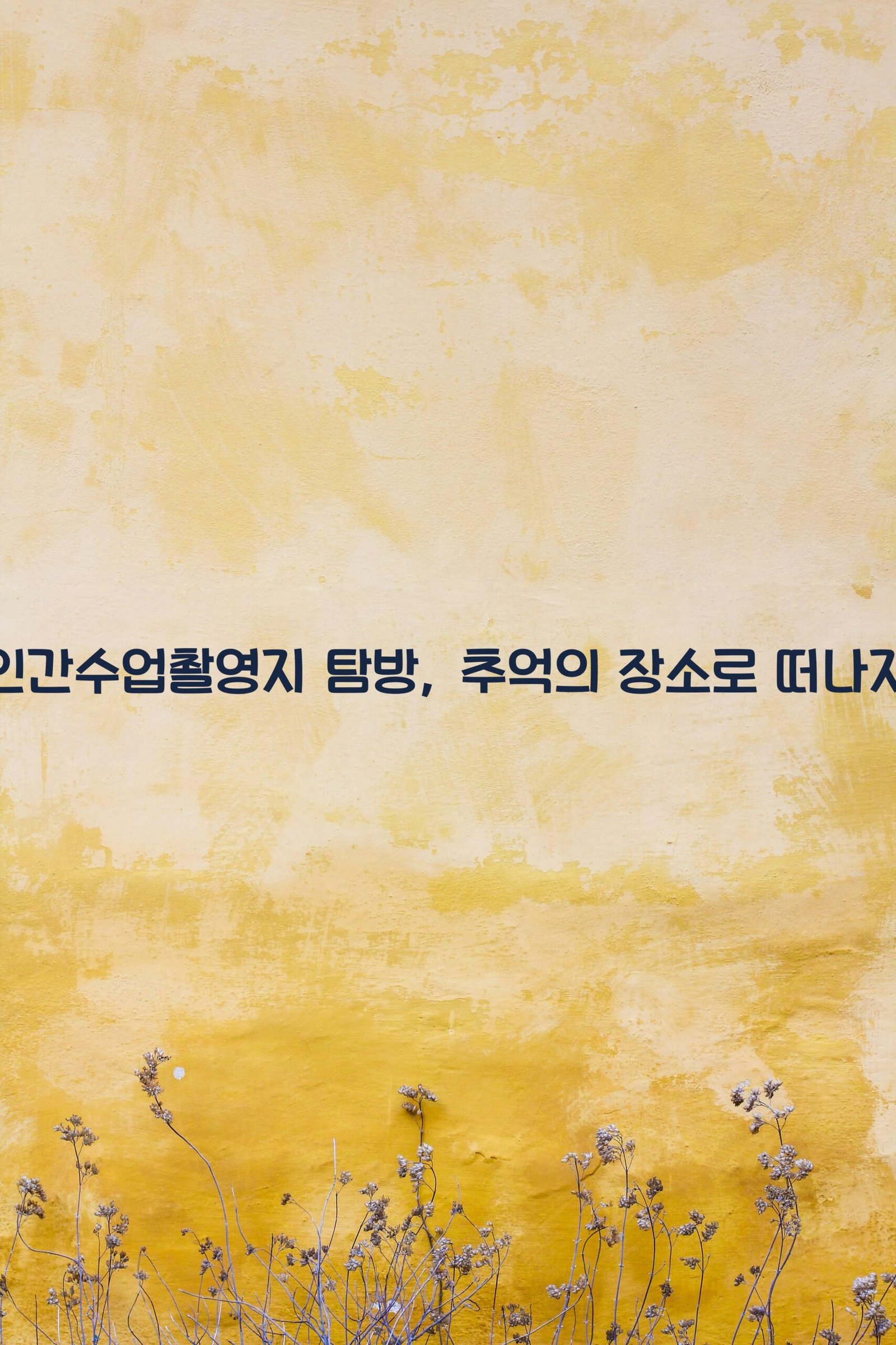 인간수업촬영지 scaled