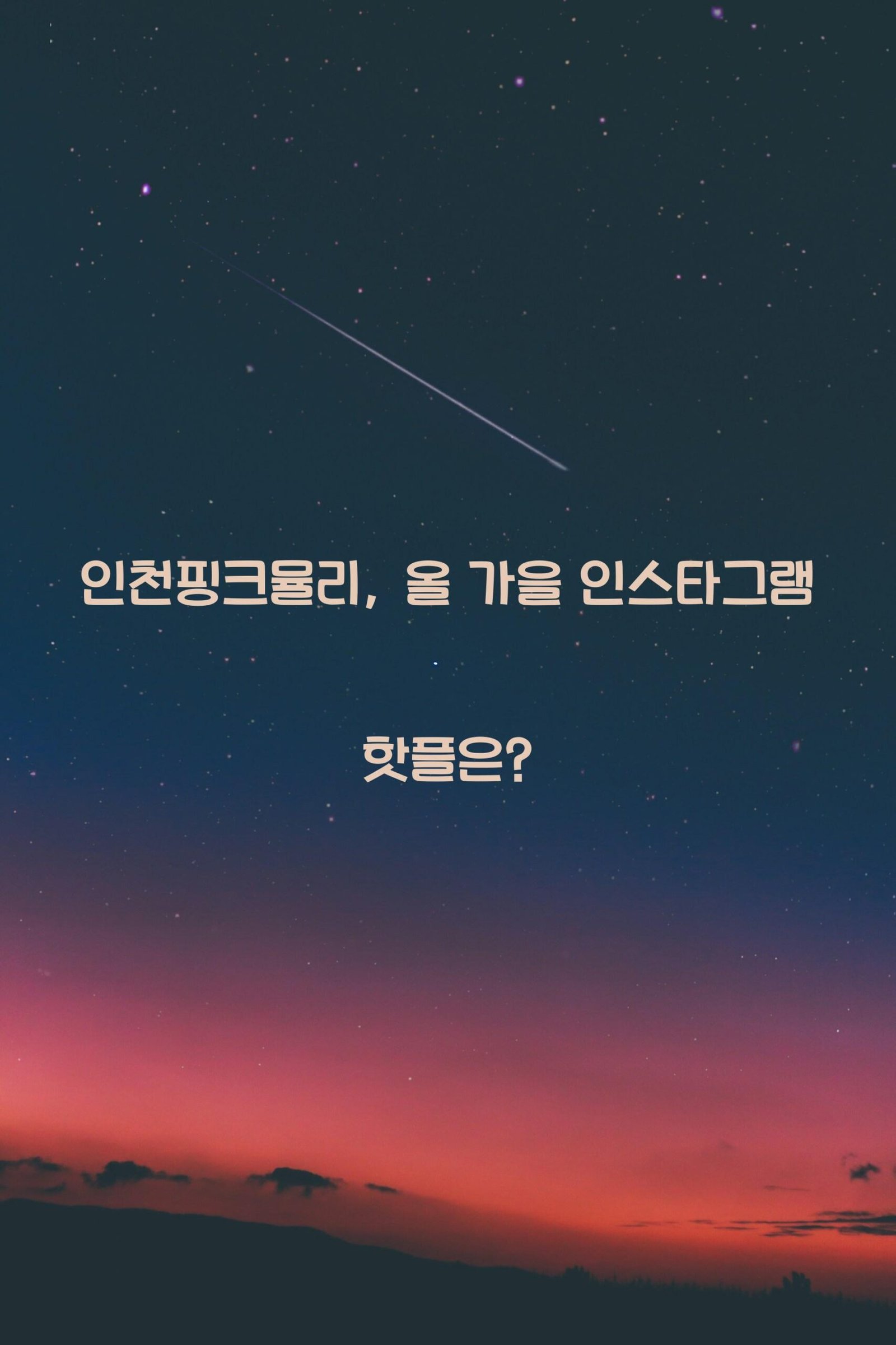 인천핑크뮬리 scaled