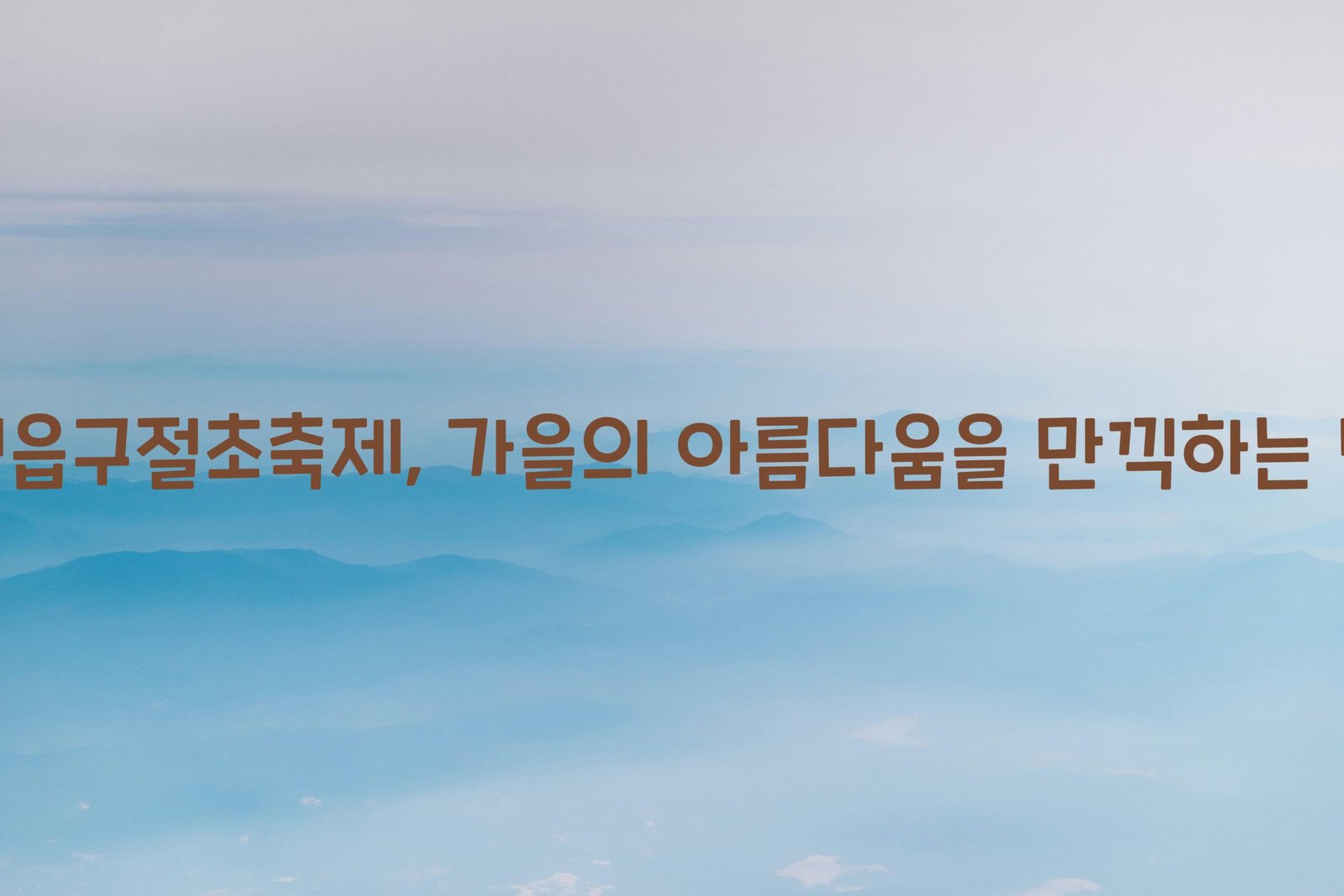 정읍구절초축제 scaled