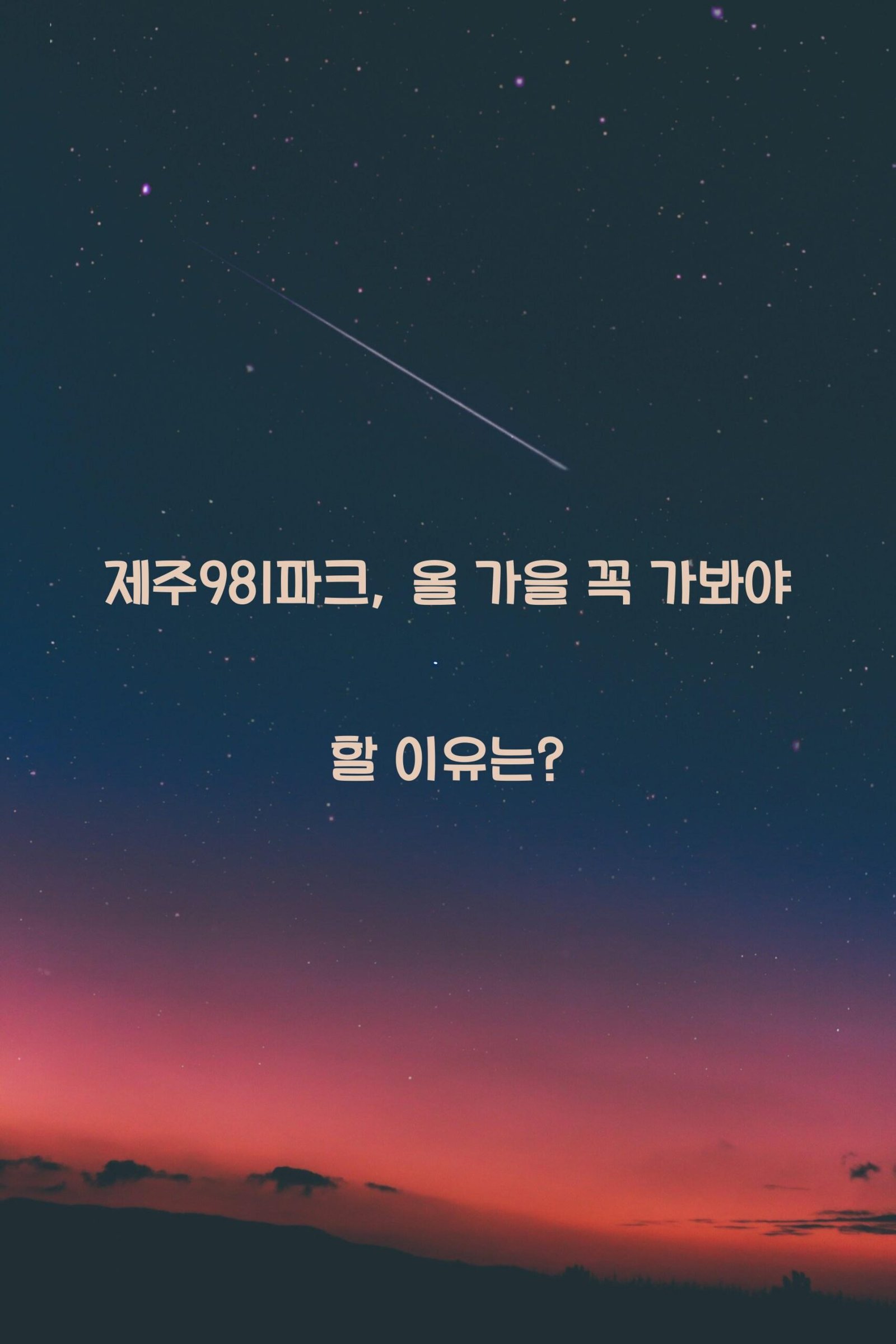 제주981파크 scaled