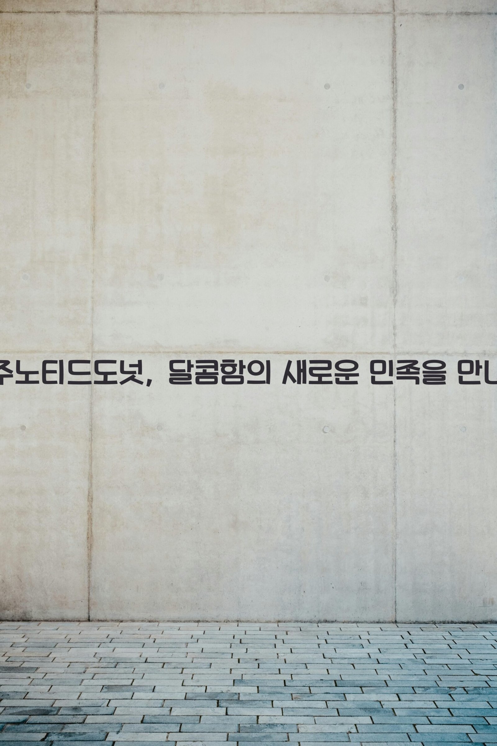제주노티드도넛 scaled