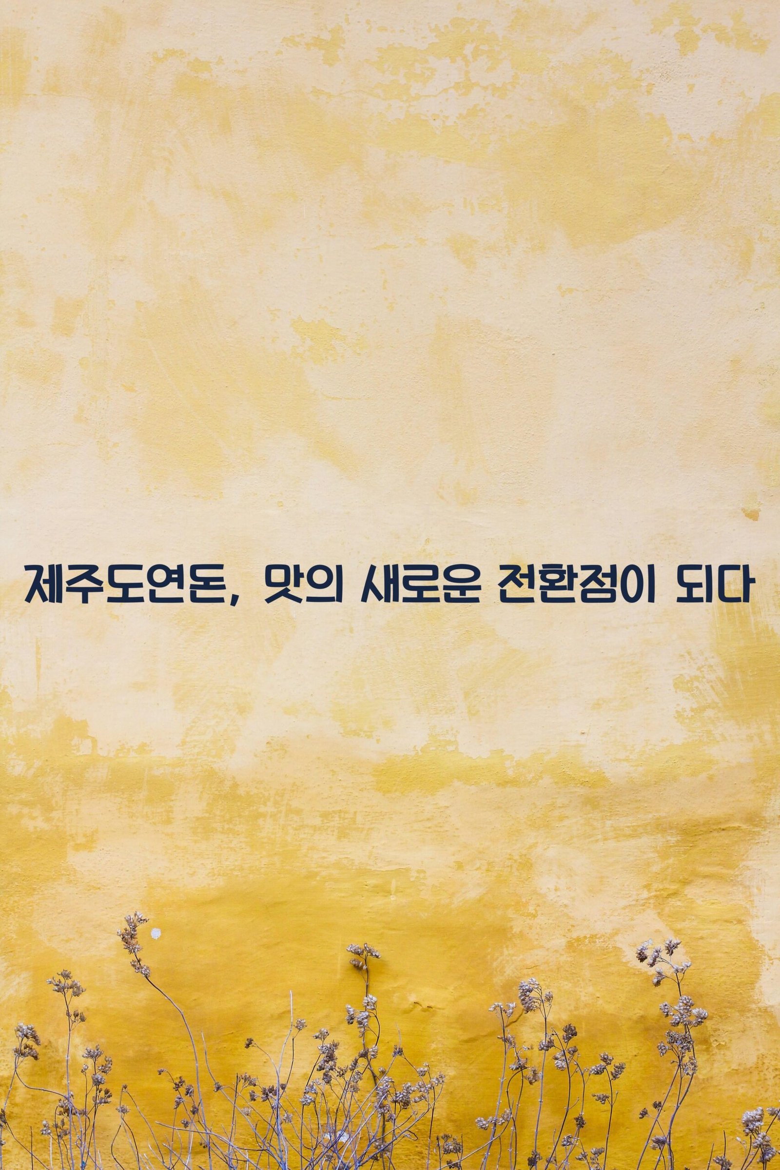 제주도연돈 scaled