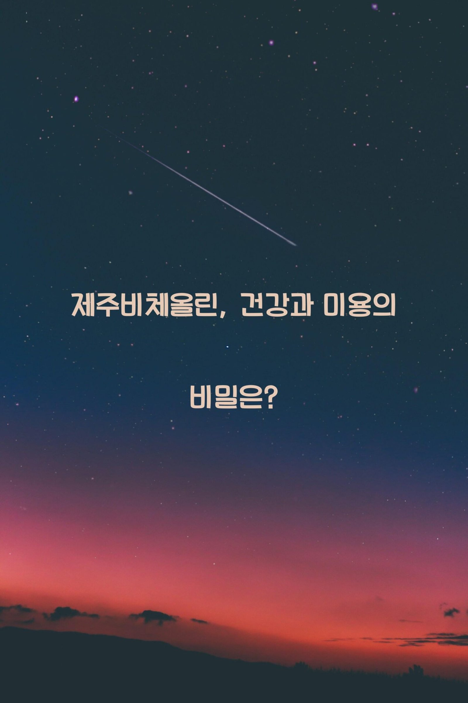 제주비체올린 scaled