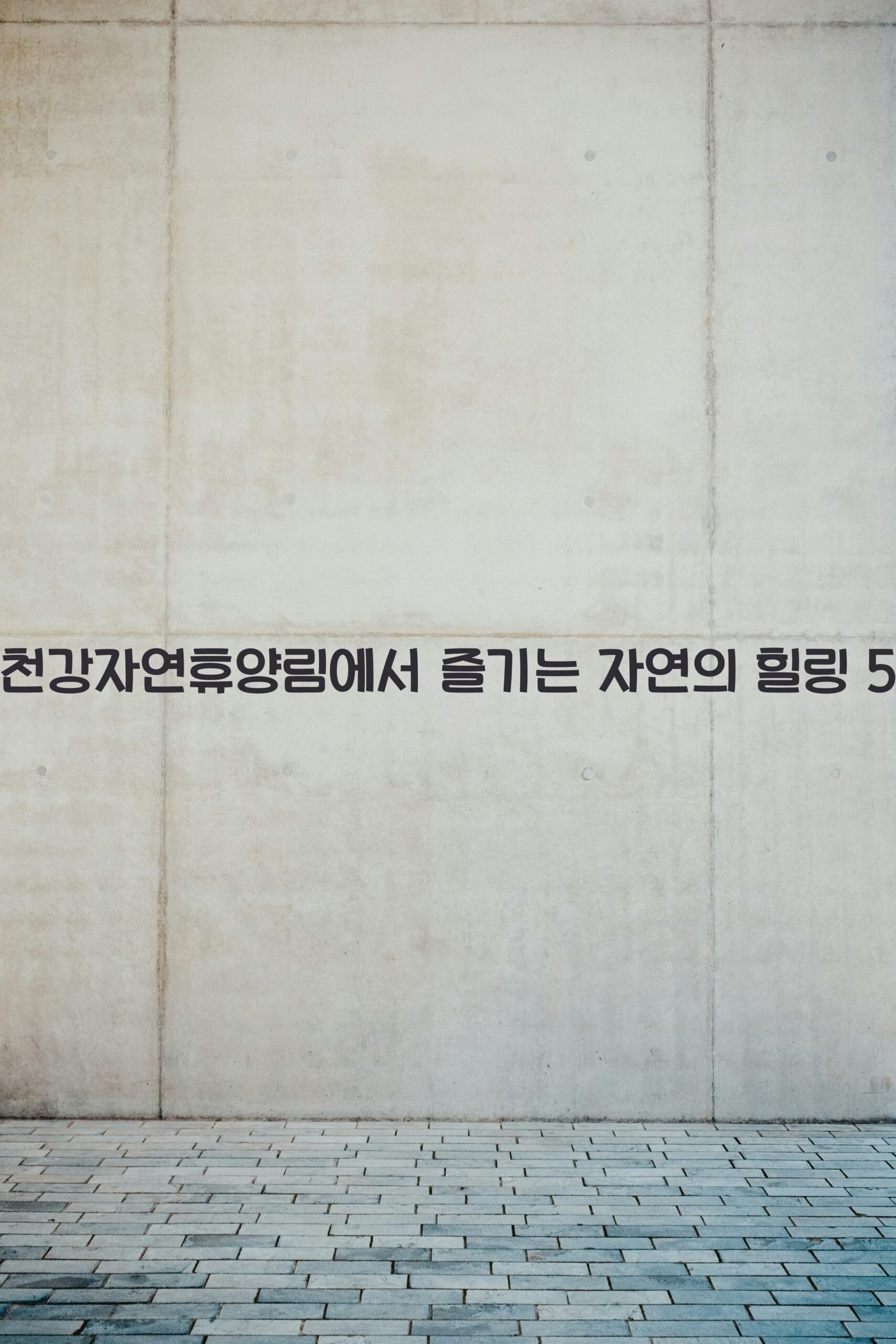 주천강자연휴양림 scaled