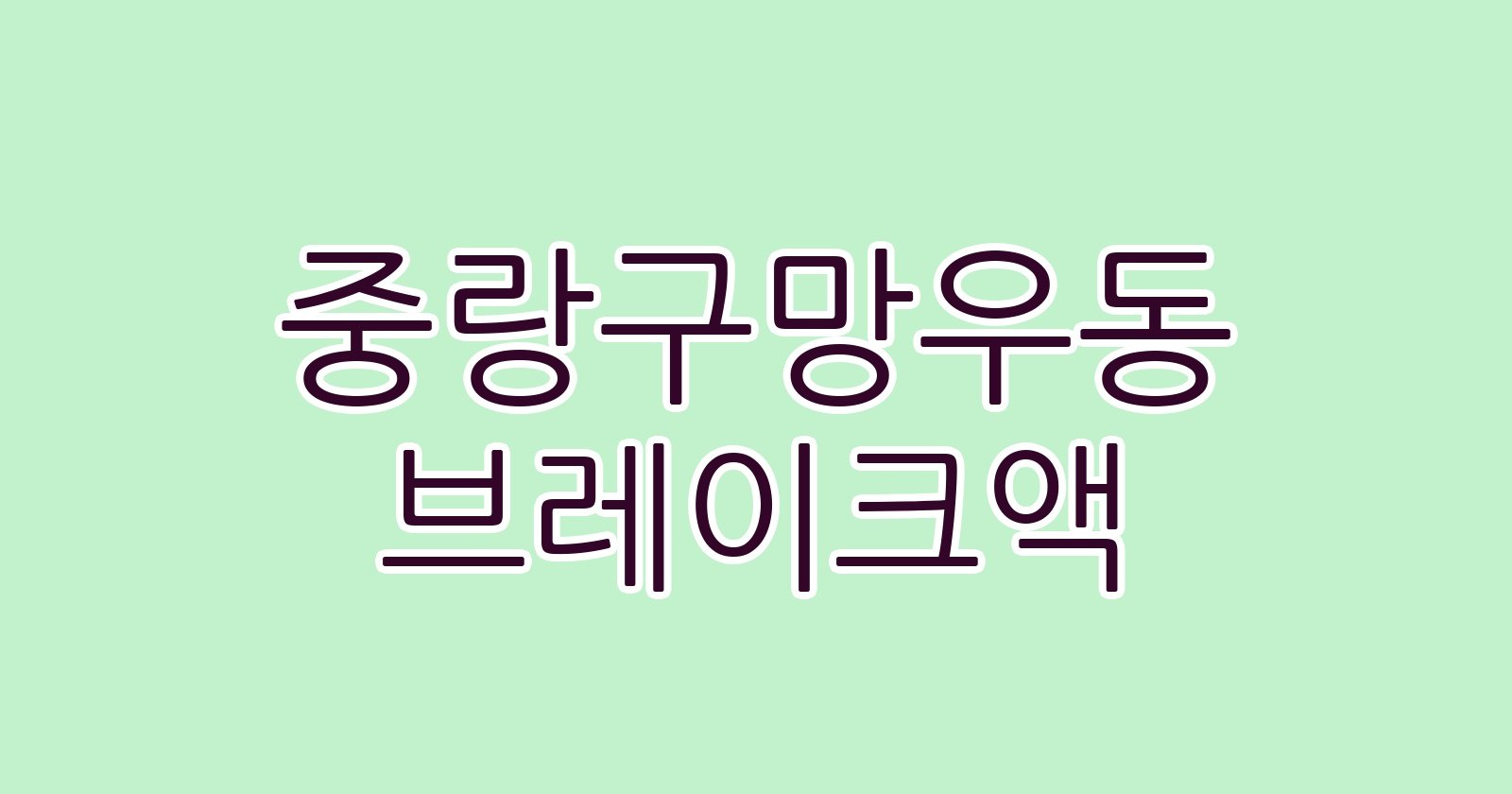중랑구망우동 브레이크액