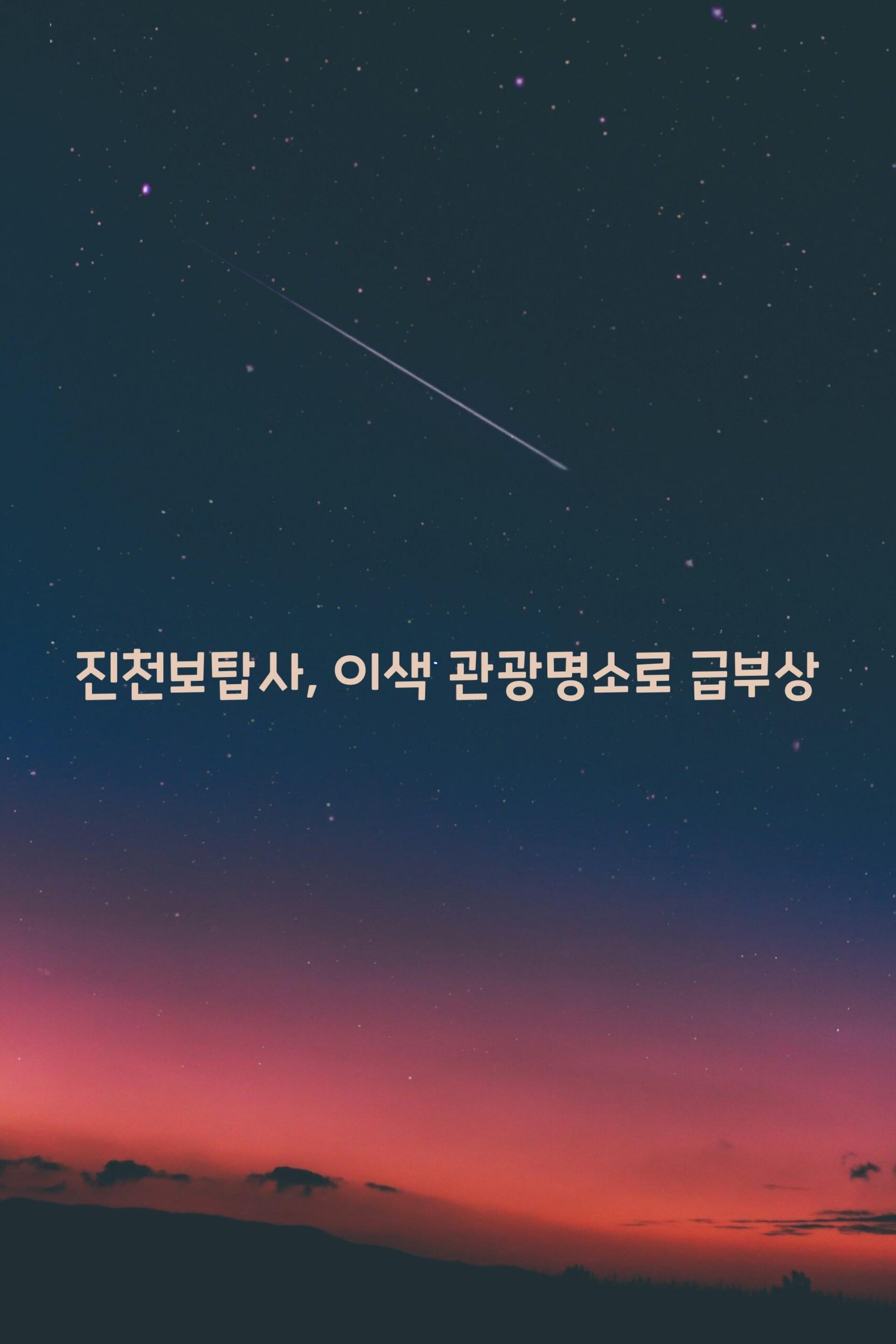 진천보탑사 scaled