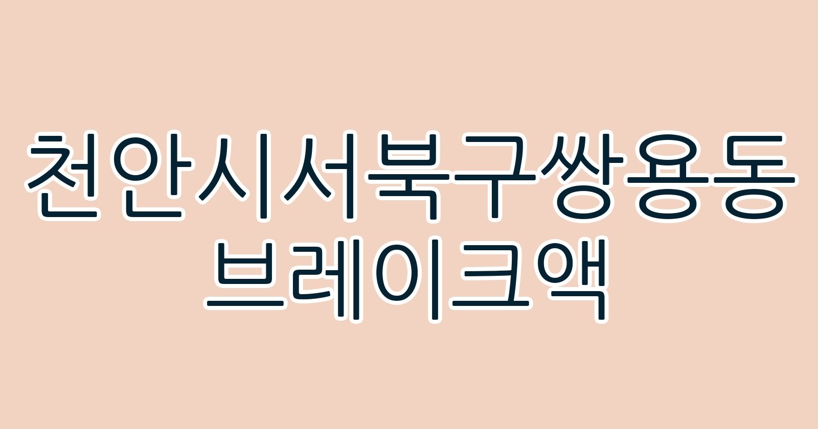 천안시서북구쌍용동 브레이크액