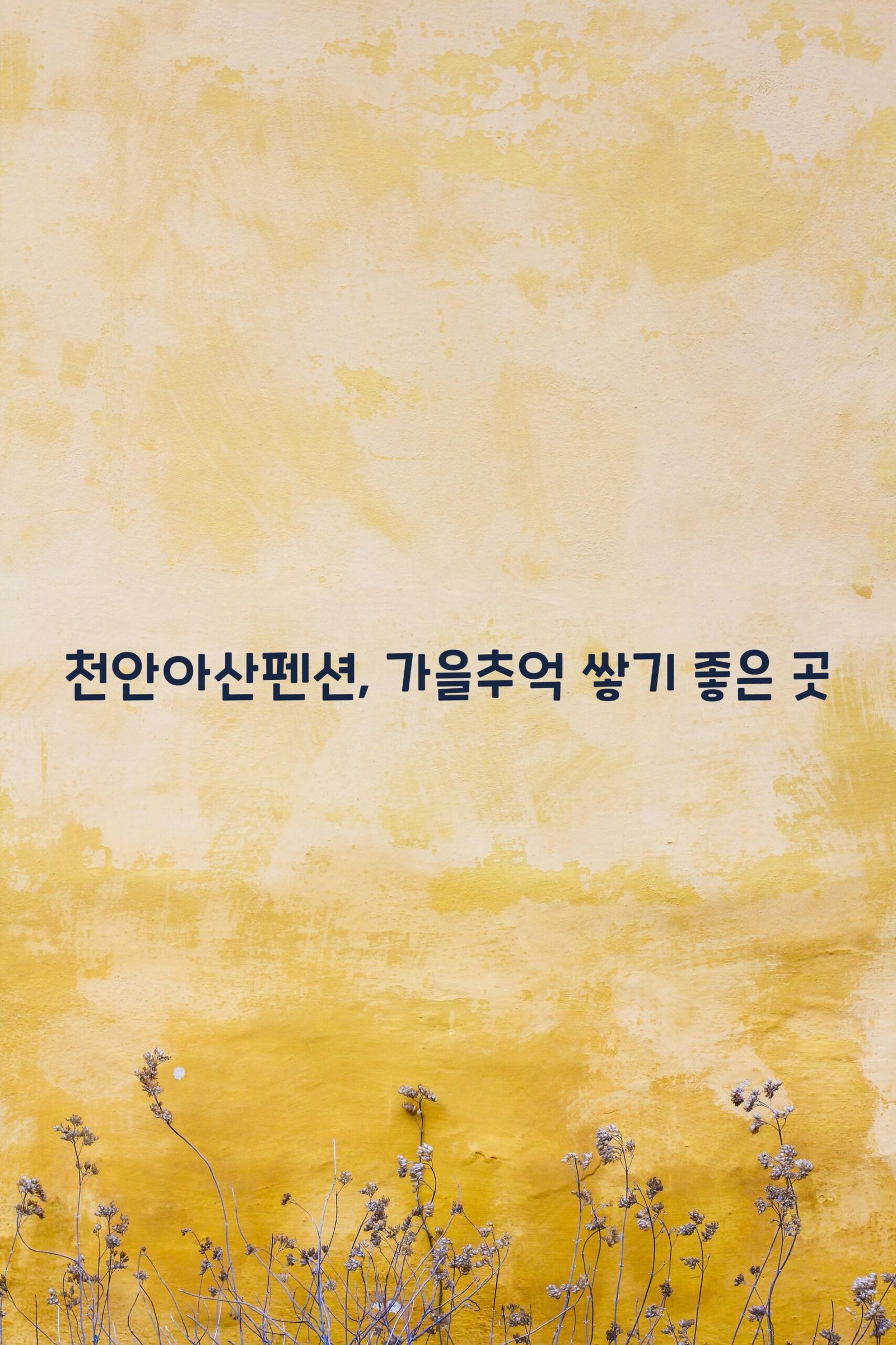 천안아산펜션 scaled
