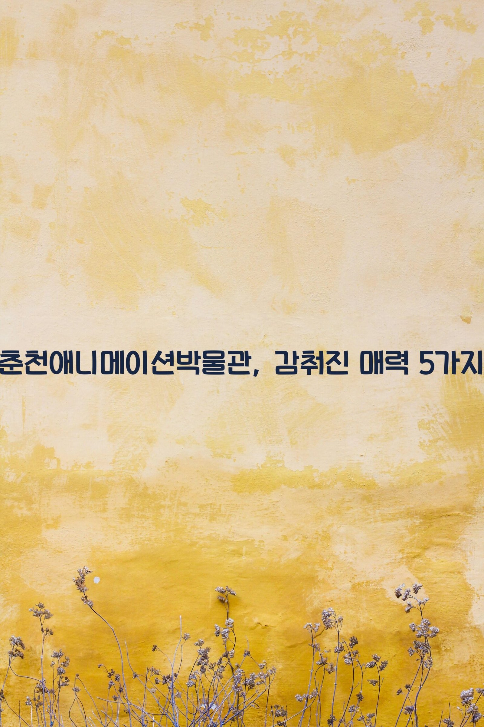 춘천애니메이션박물관 scaled