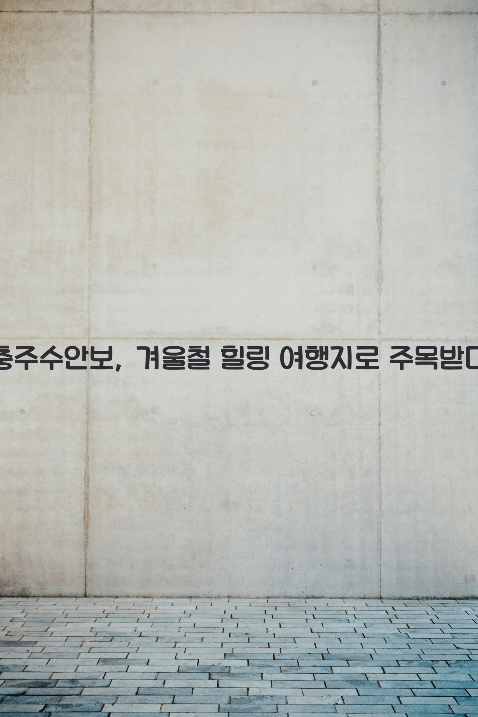 충주수안보 scaled