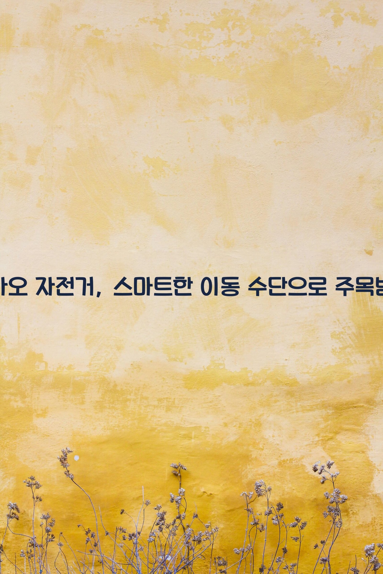 카카오 자전거 scaled