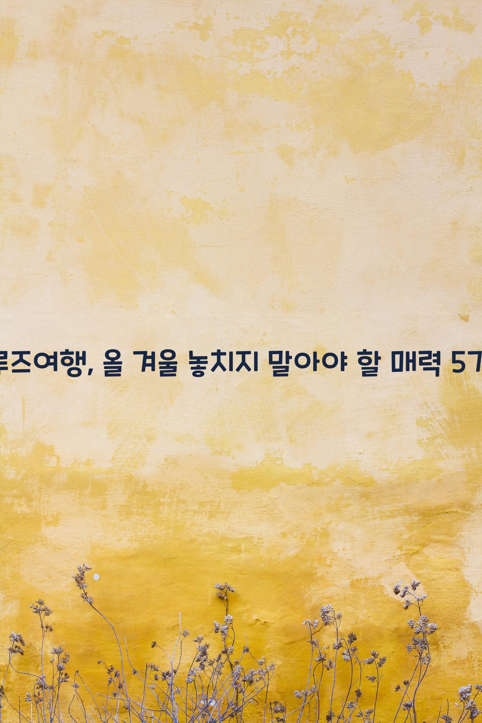 크루즈여행 scaled
