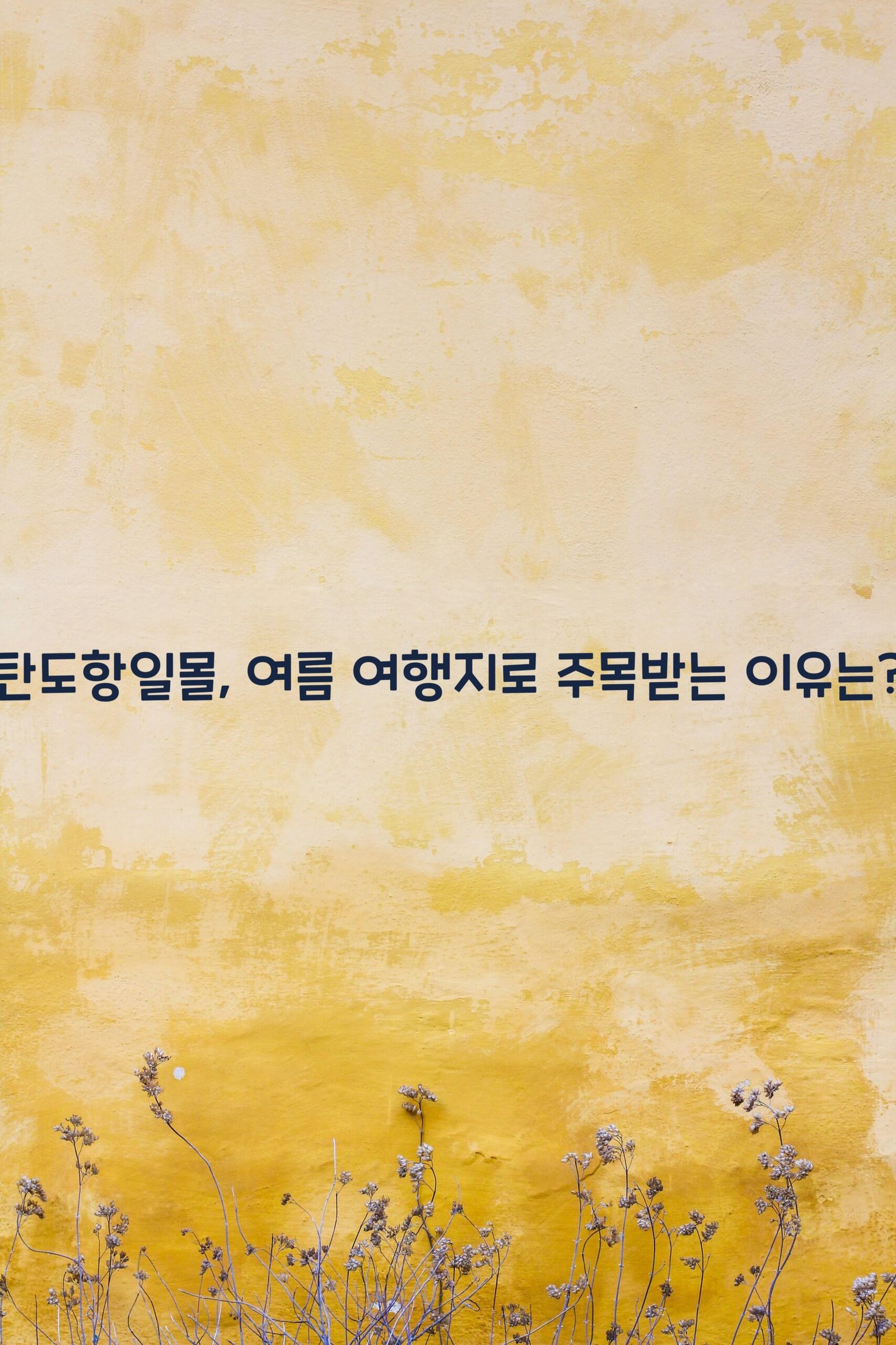 탄도항일몰 scaled
