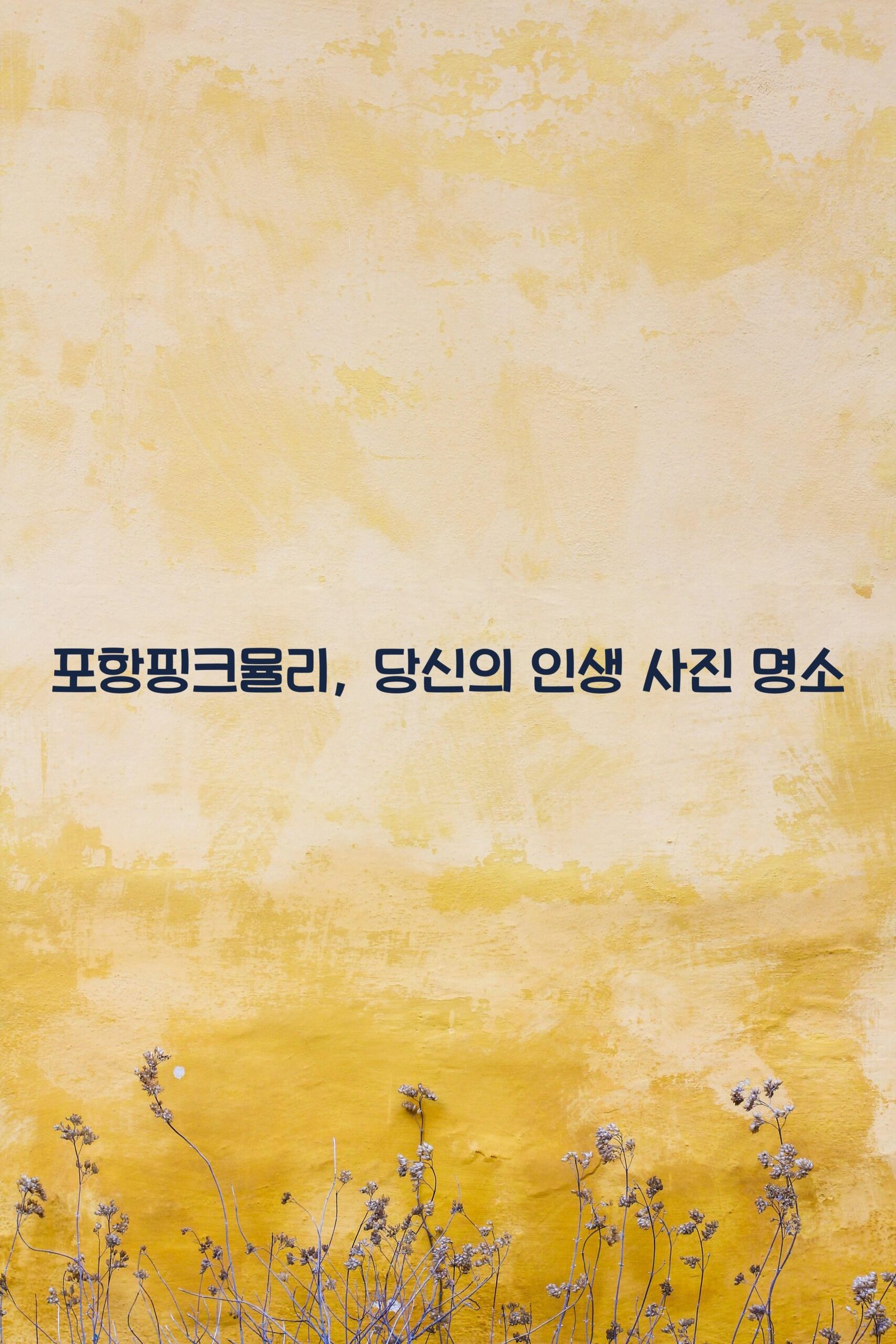 포항핑크뮬리 scaled
