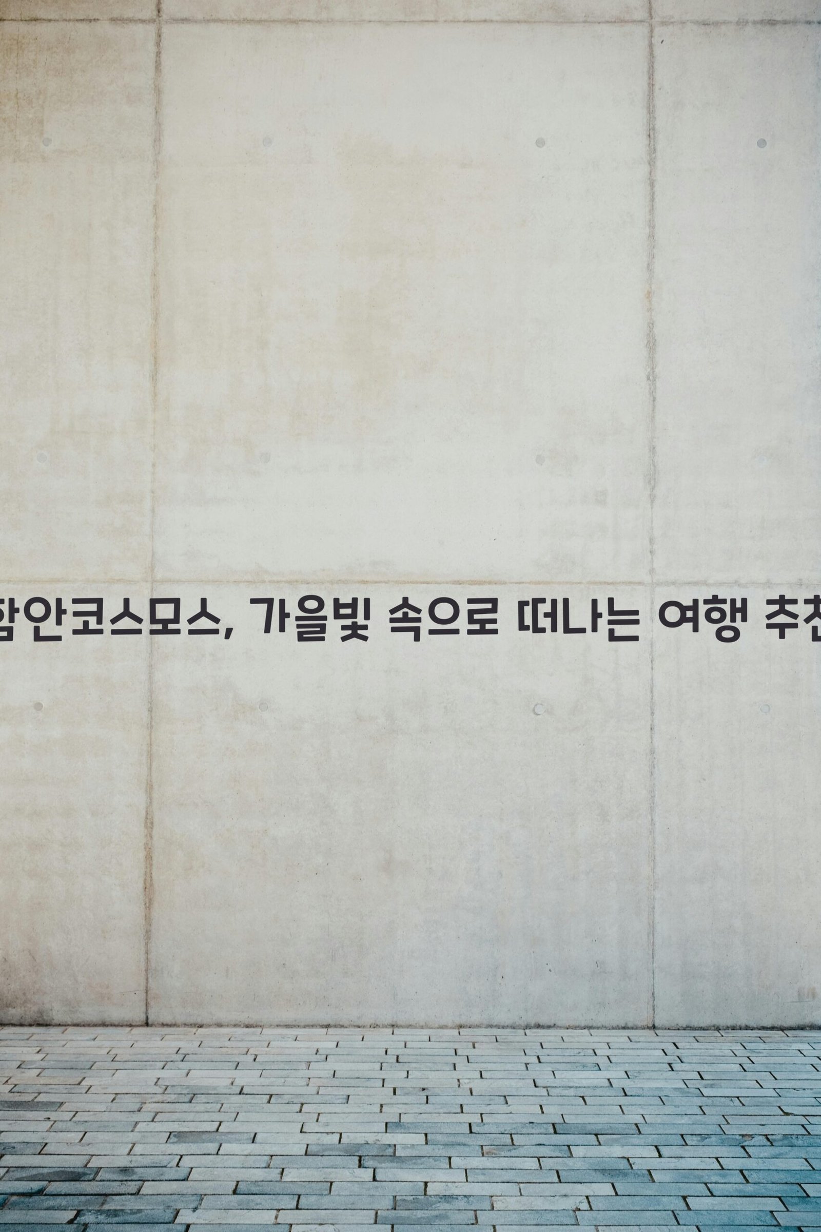 함안코스모스 scaled
