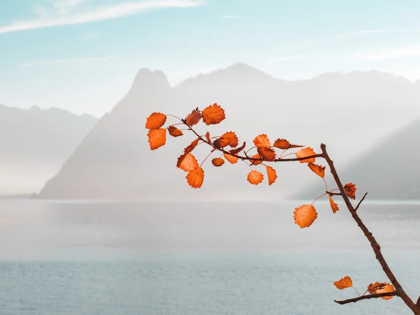 Autumn