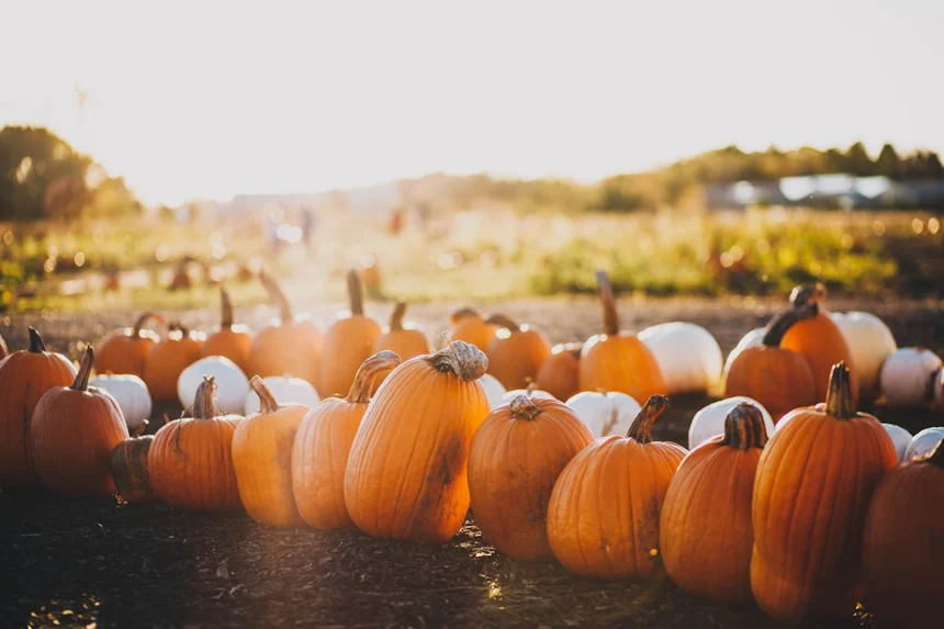 Autumn