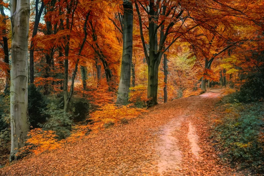 Autumn