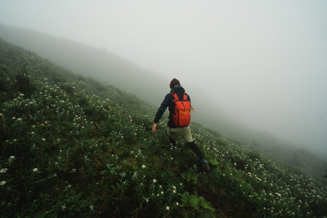 Trekking