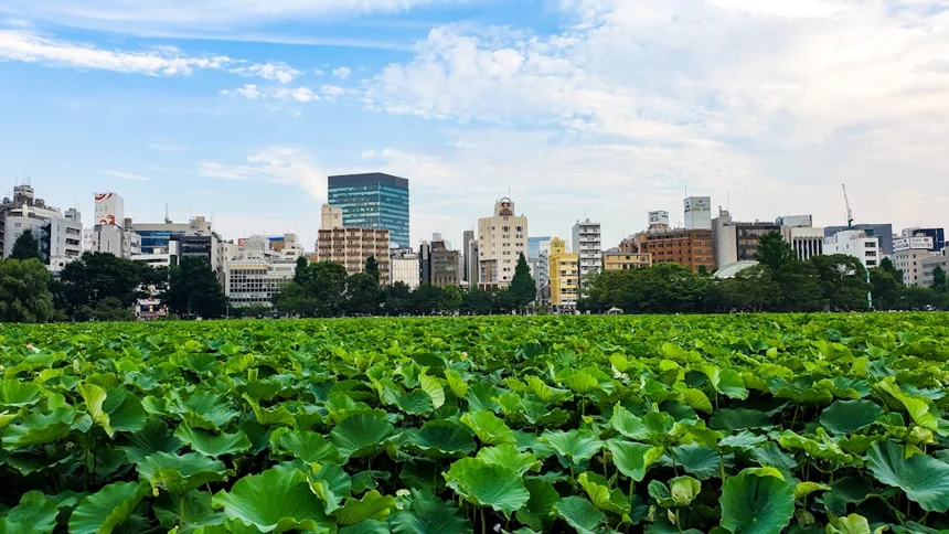 Ueno