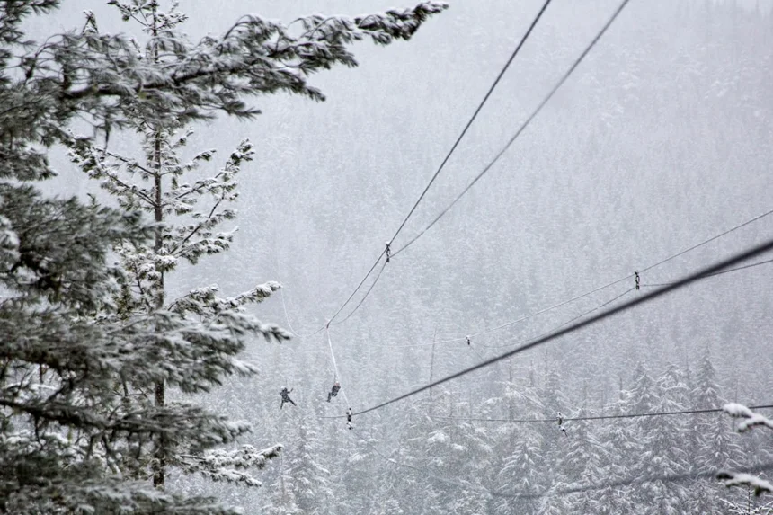 Zipline
