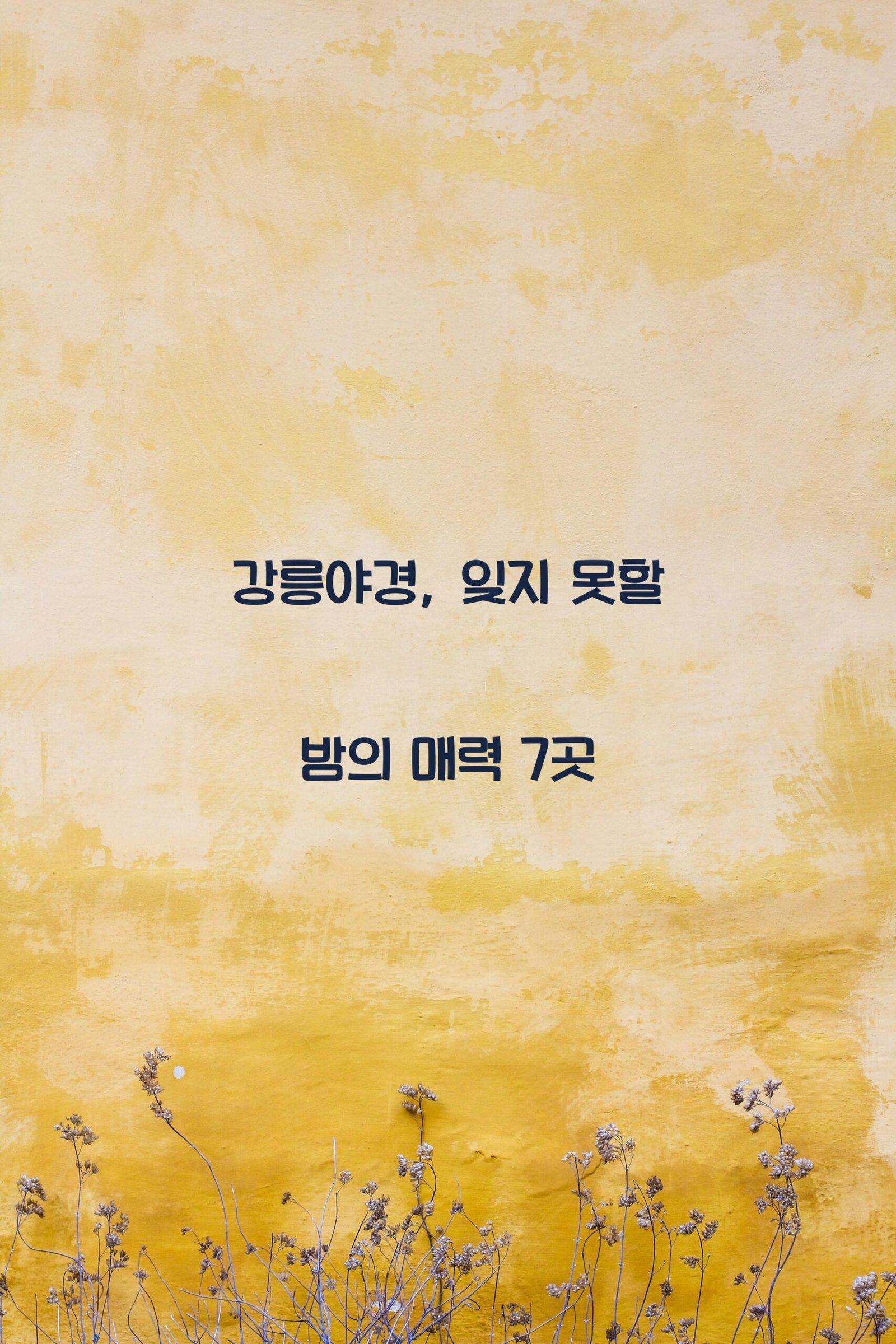 강릉야경 scaled