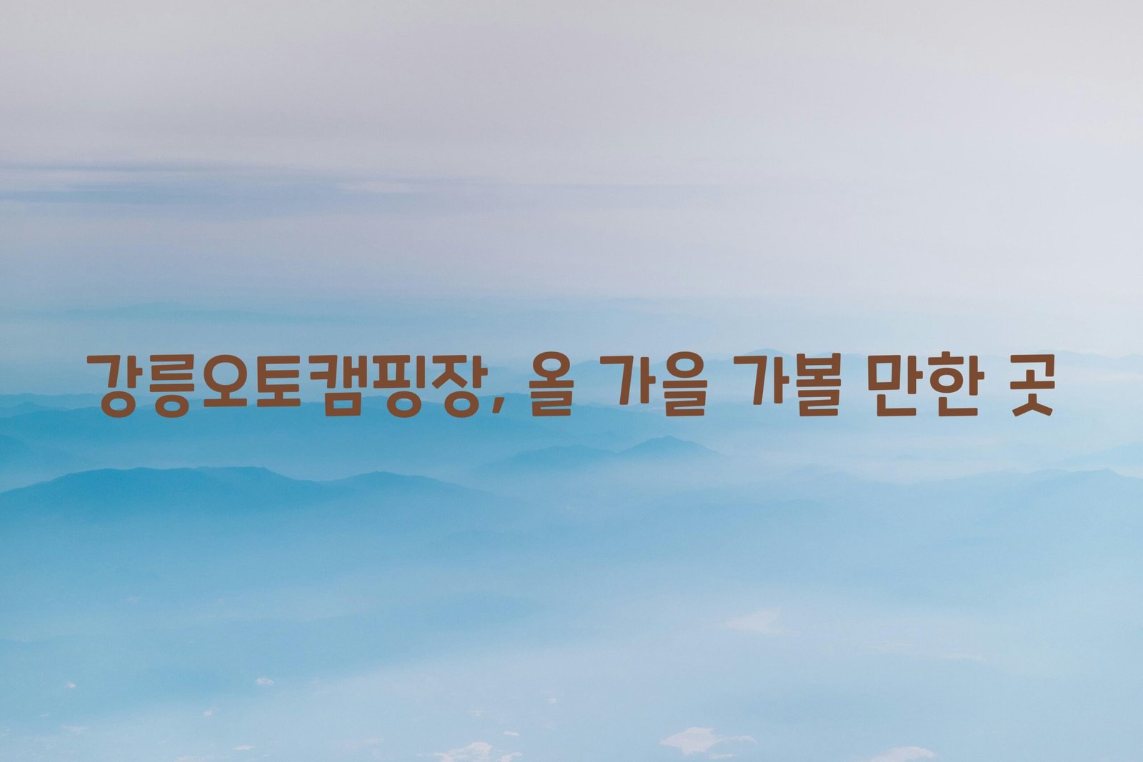 강릉오토캠핑장 scaled