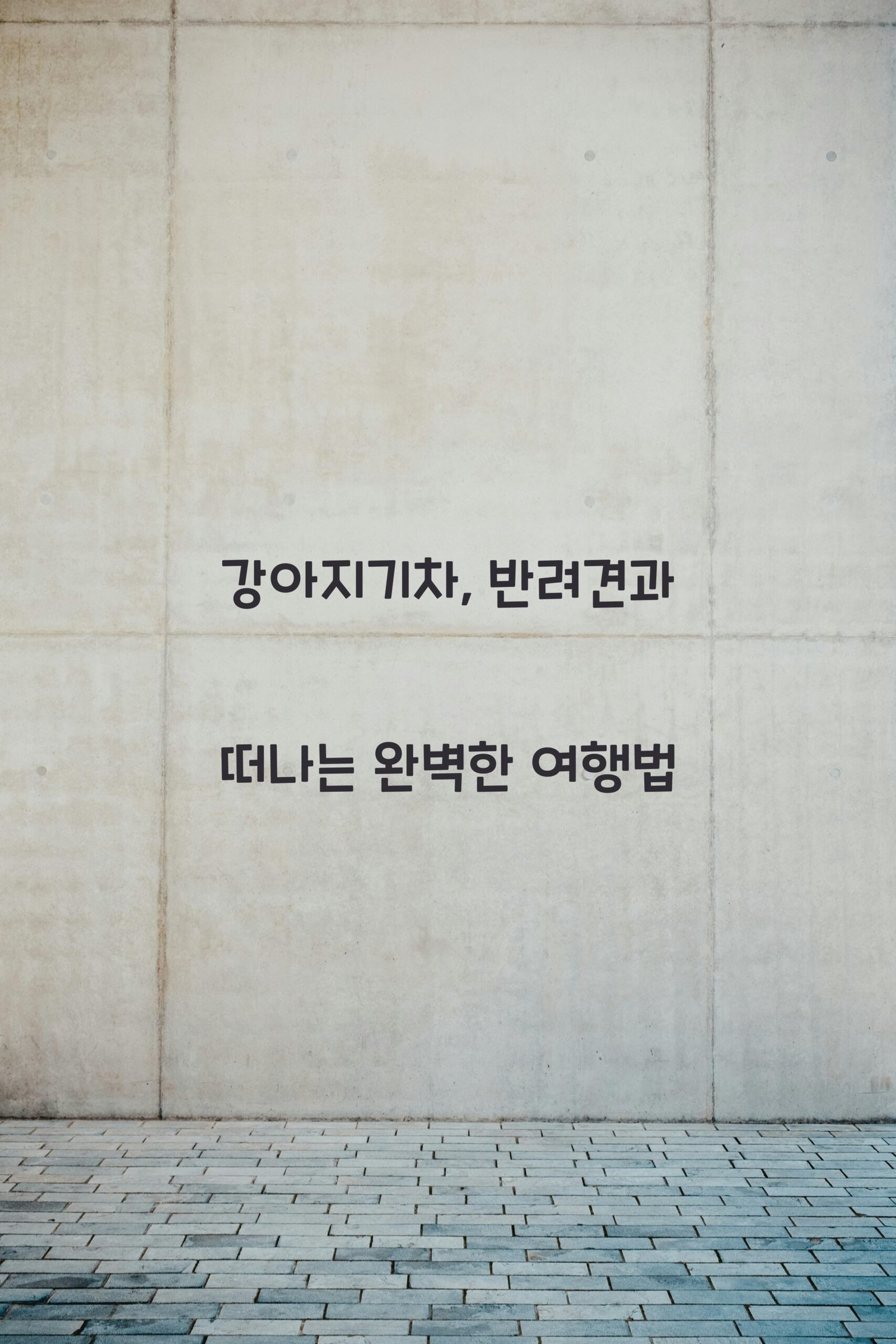 강아지기차 scaled