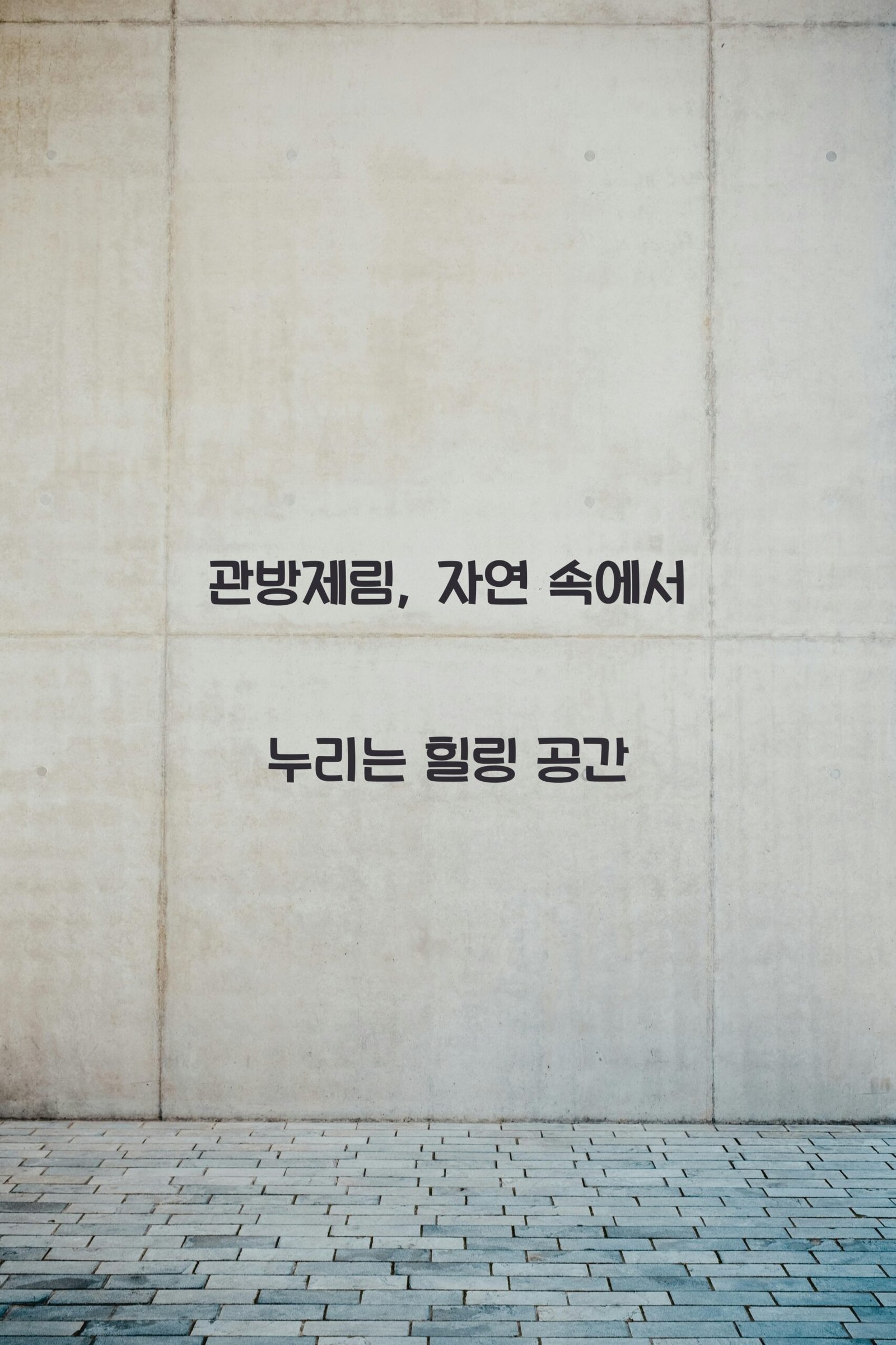 관방제림 scaled