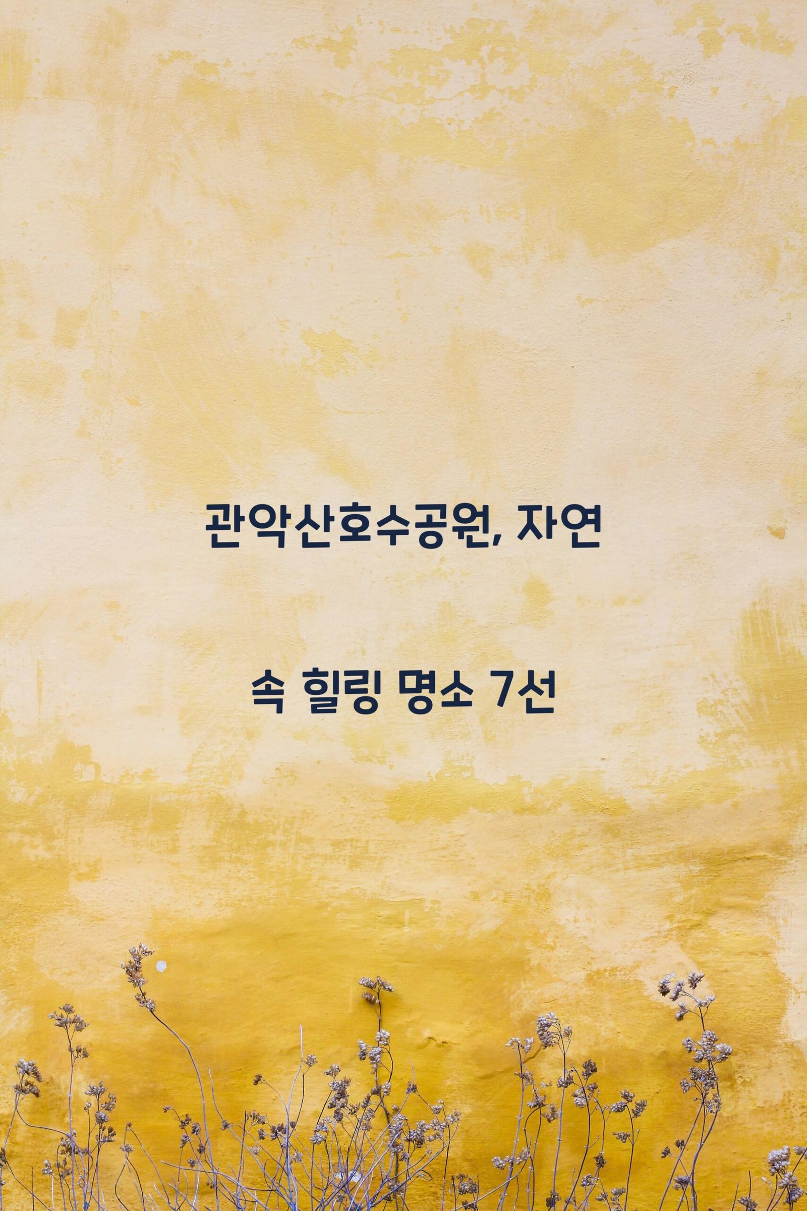 관악산호수공원 scaled