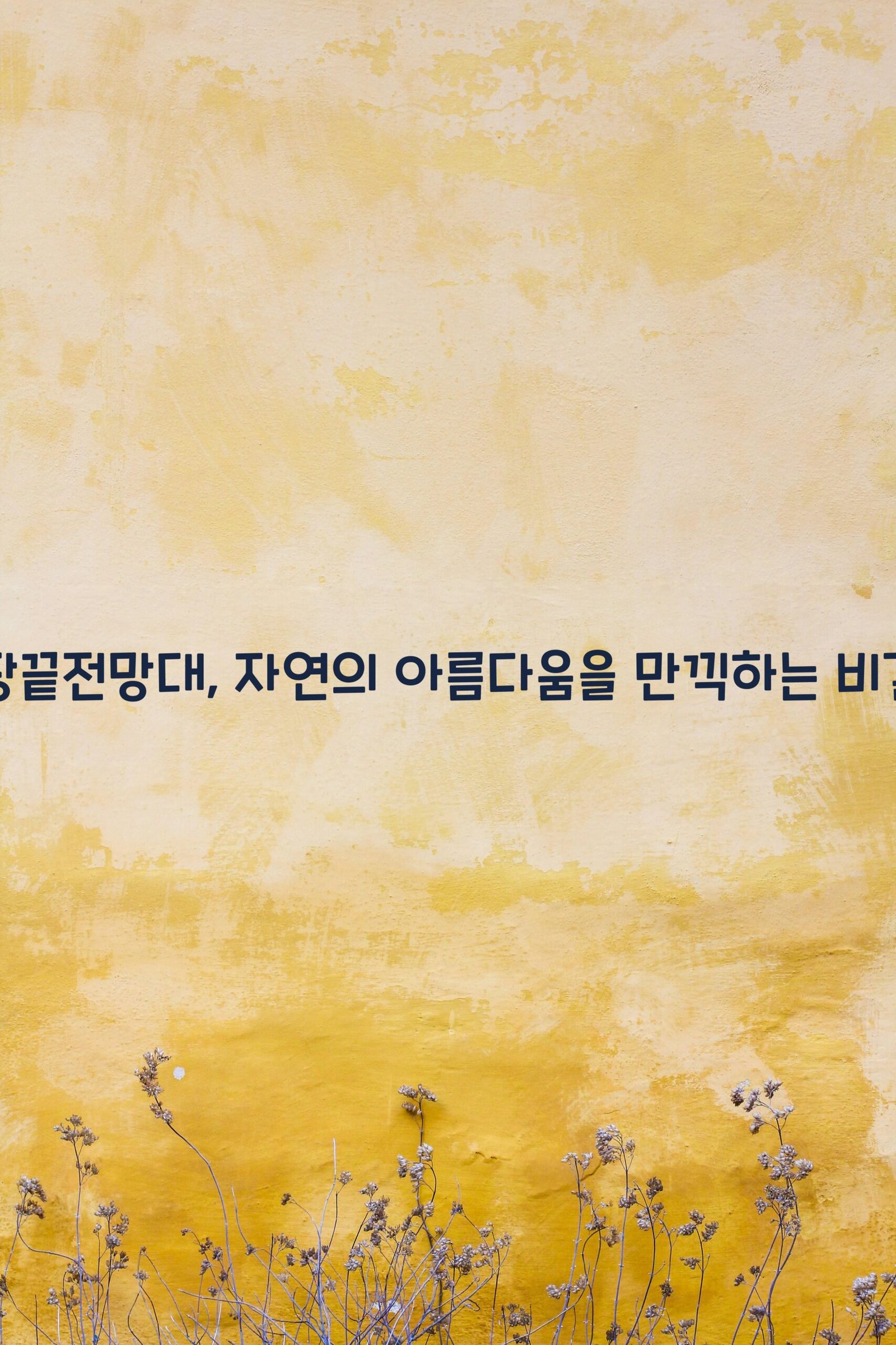땅끝전망대 scaled