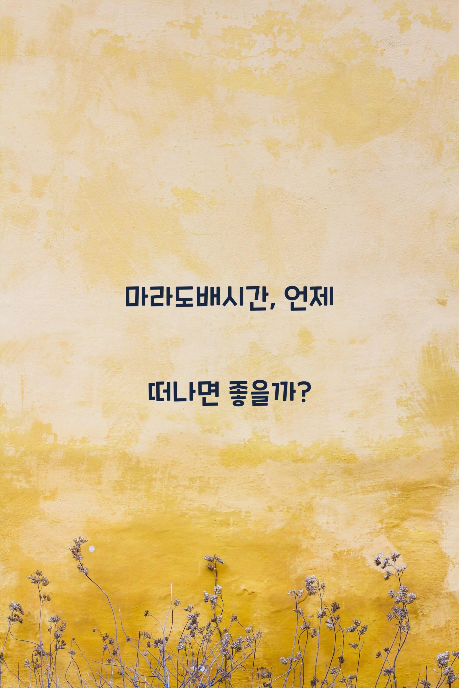 마라도배시간 scaled