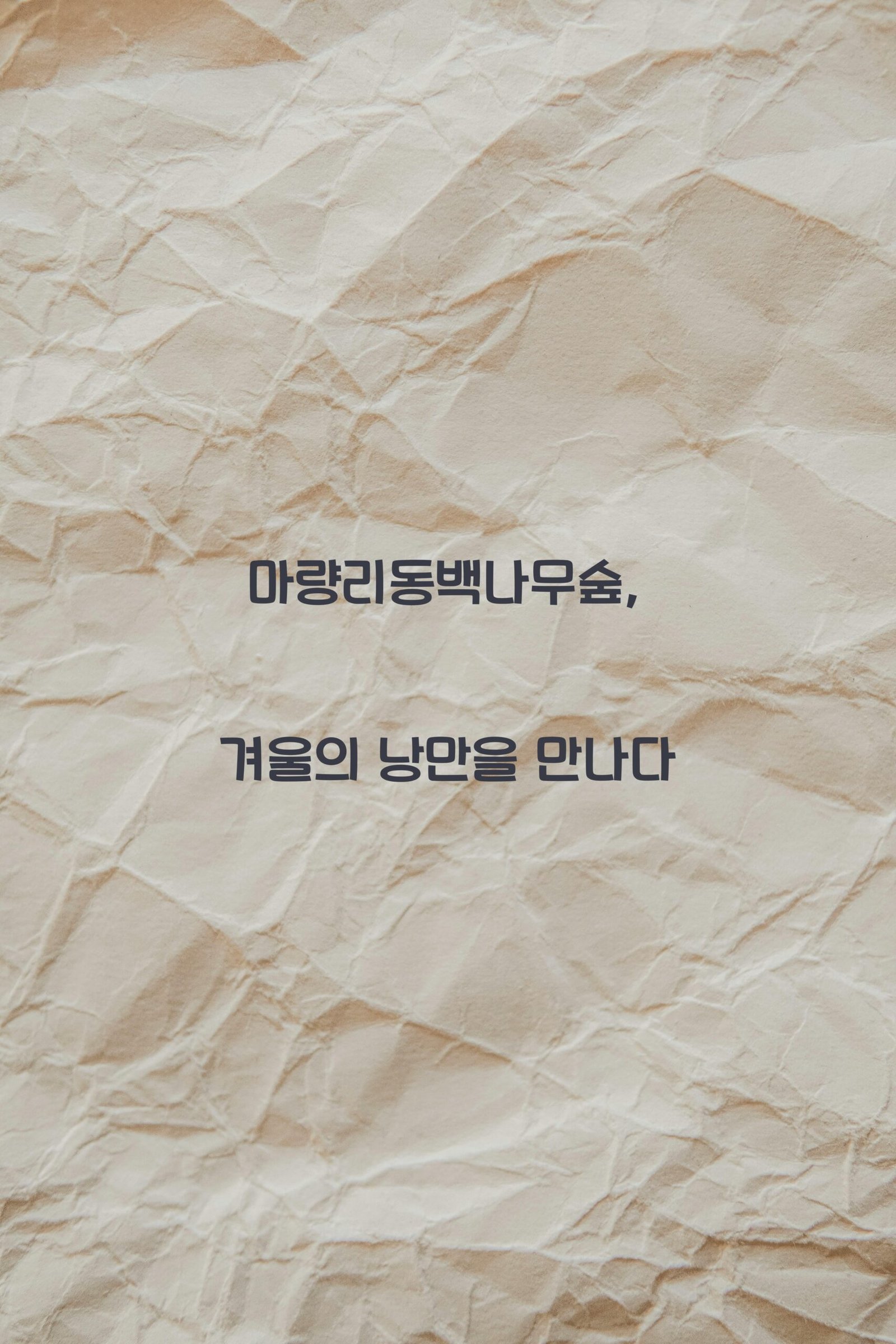 마량리동백나무숲 scaled